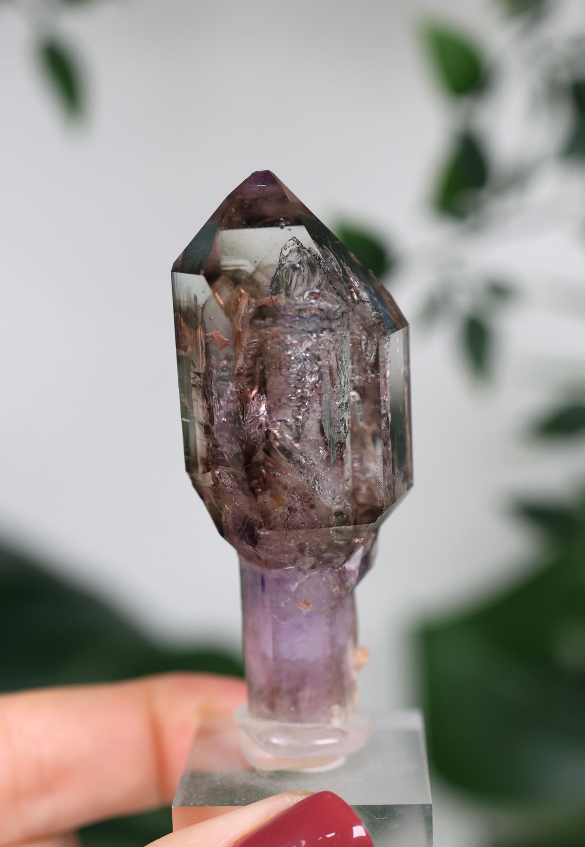 Amethyst x Rauchquarz Zepter Enhydro Nr.444AZ