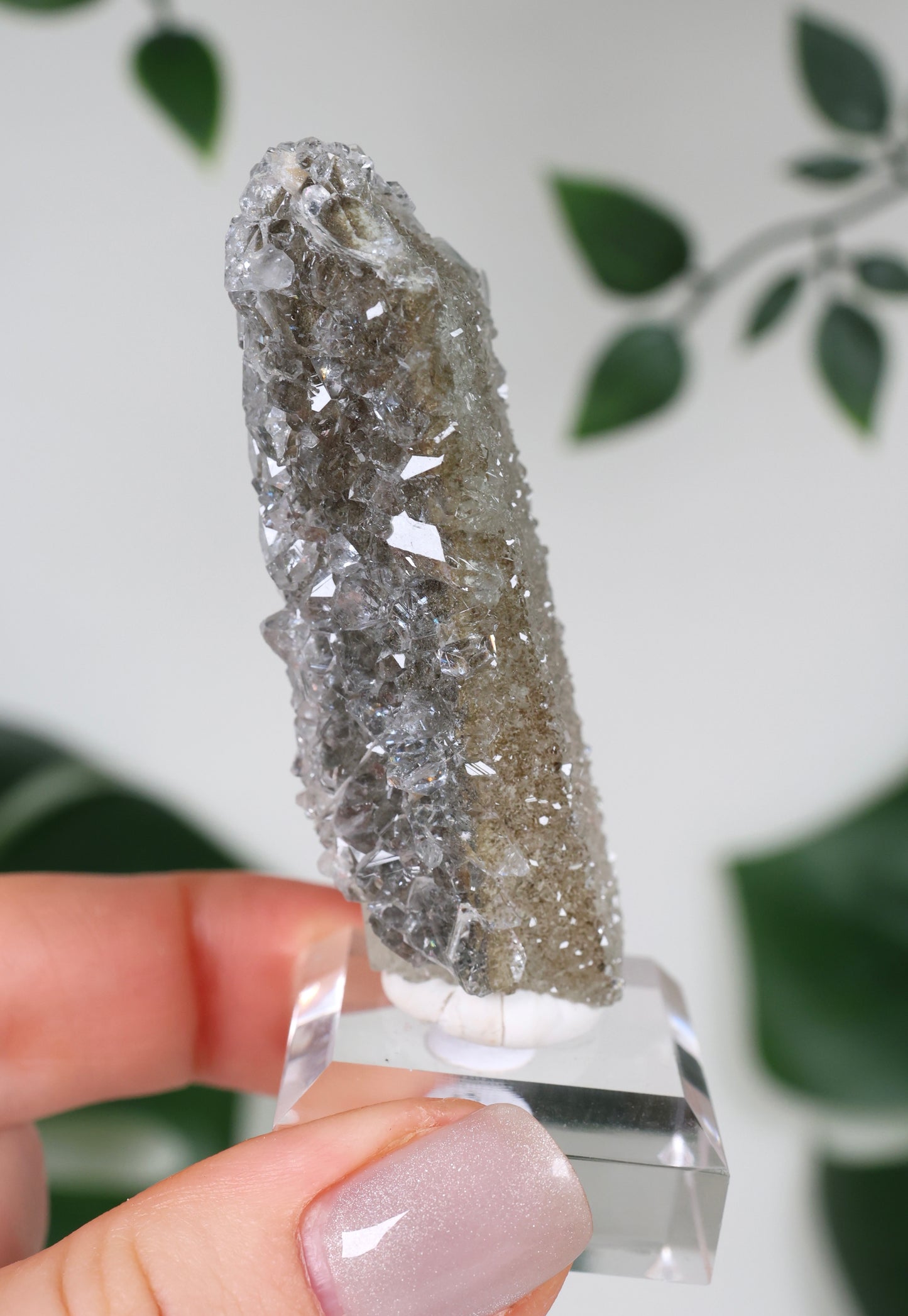 Apophyllite x Quartz x Chlorite No. 118QA