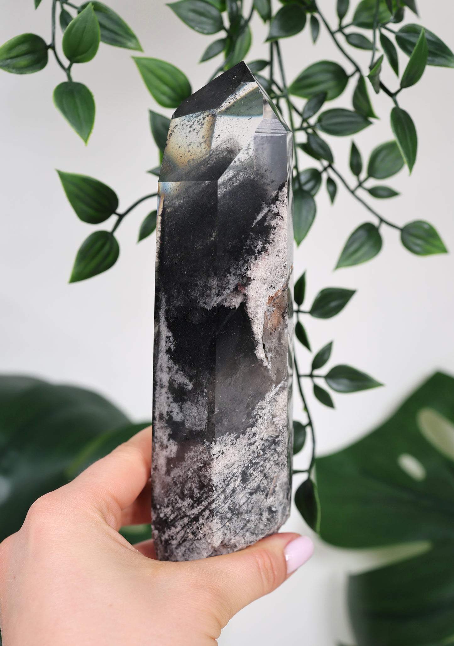 Black Phantom Lemurian Semi-Polished XL Nr.965BL