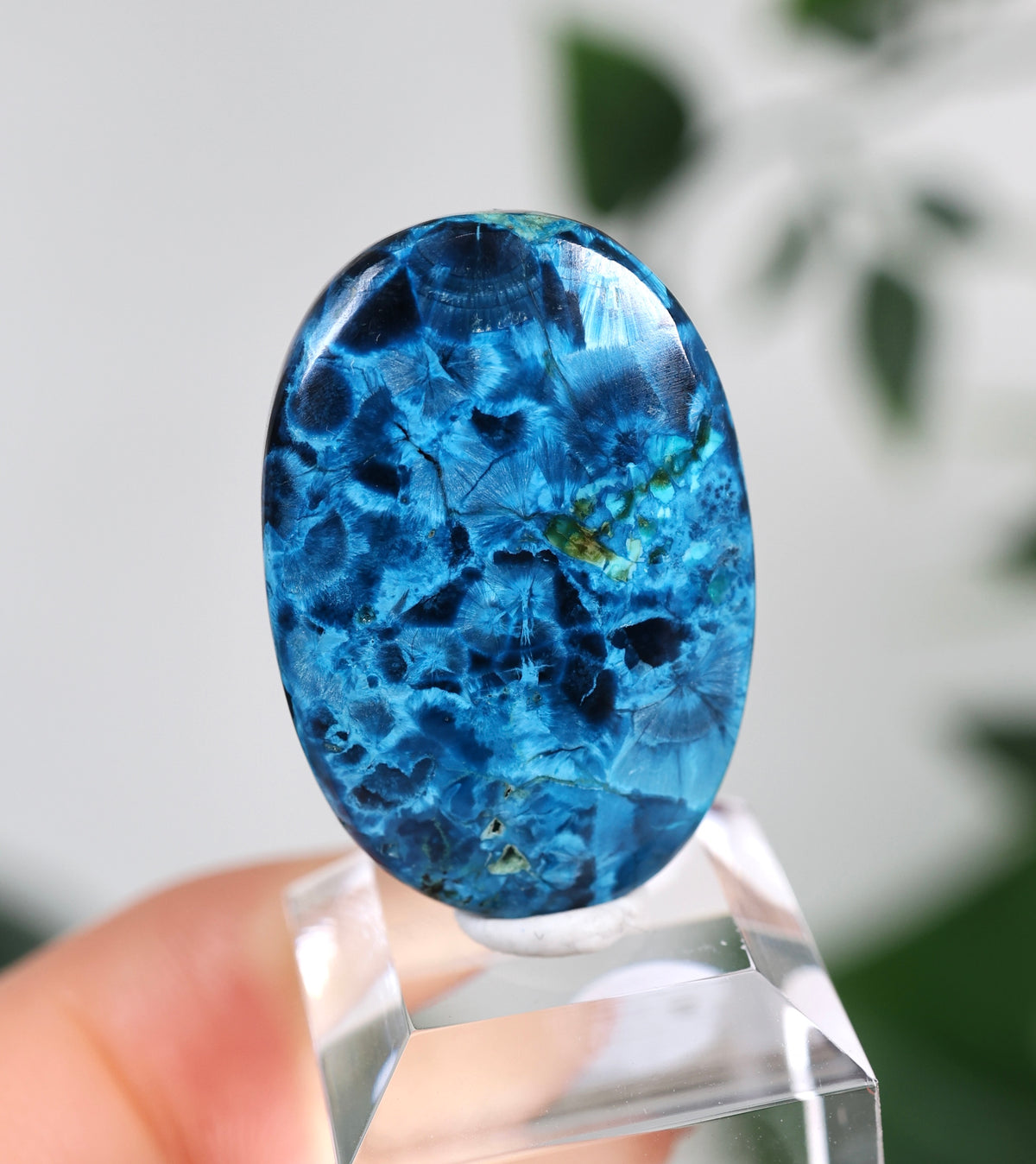 Tantara Shattuckit x Dioptas Oldstock Cabochon Nr.145ST
