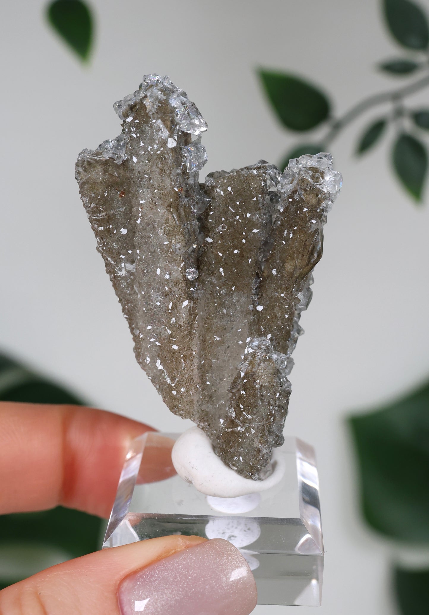 Apophyllite x Quartz x Chlorite No. 111Q1