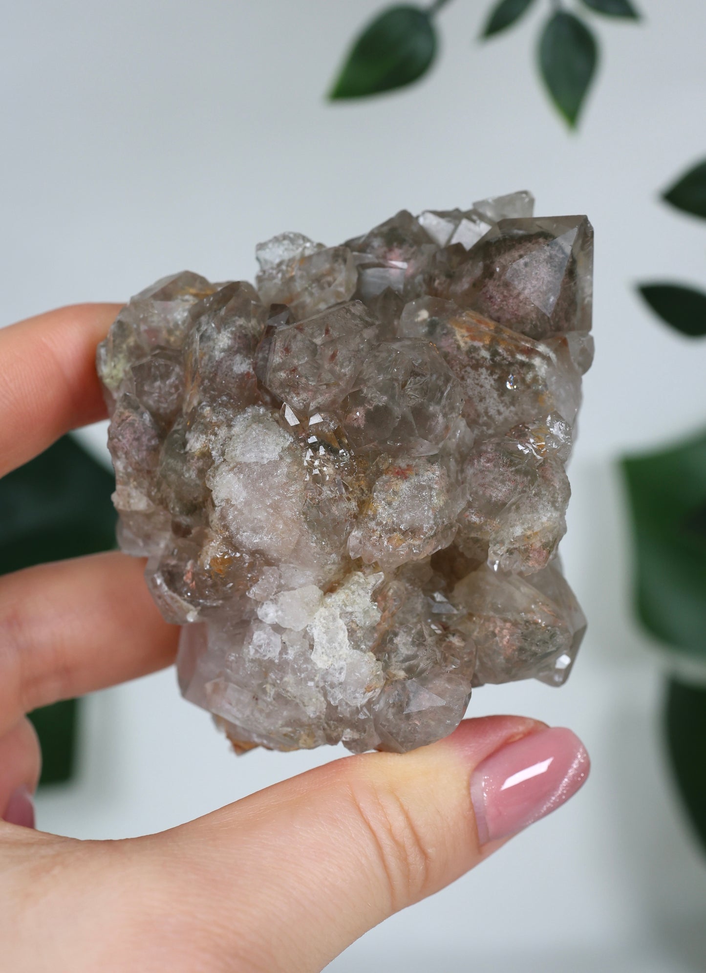 Garden Quartz x Rutile Cluster No.117GR