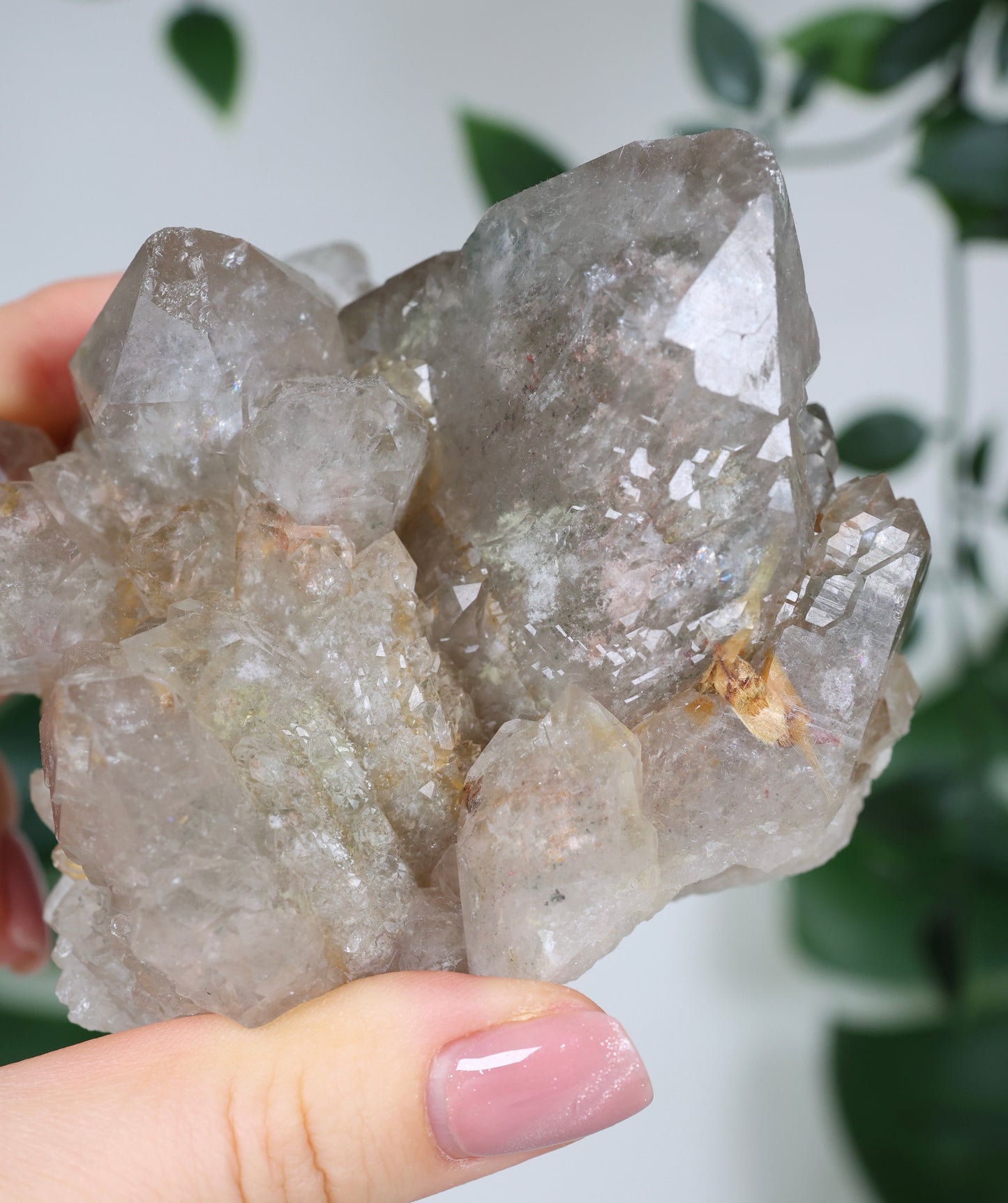 Garden Quartz x Rutile Cluster No. 168GR