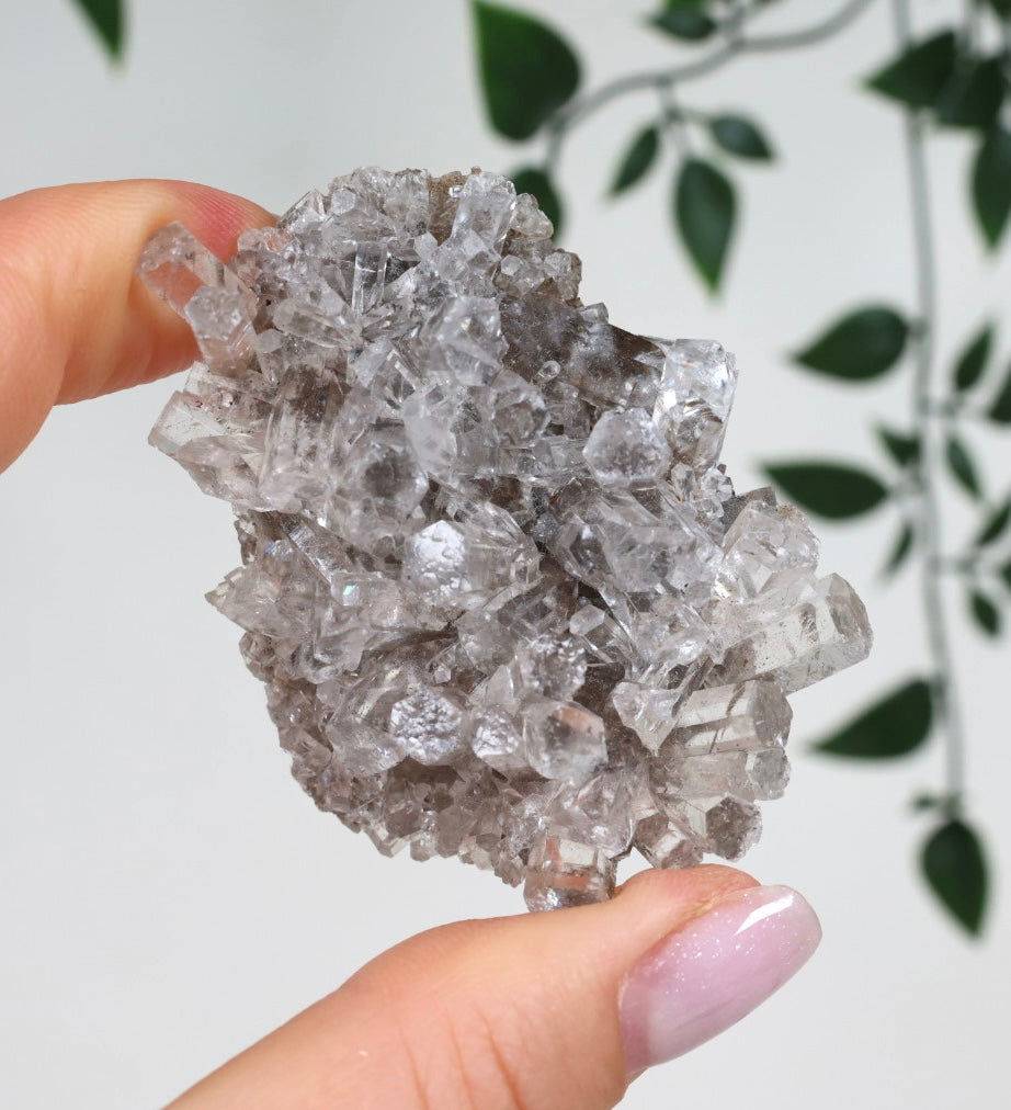 Columnar Calcite No. 73CC 