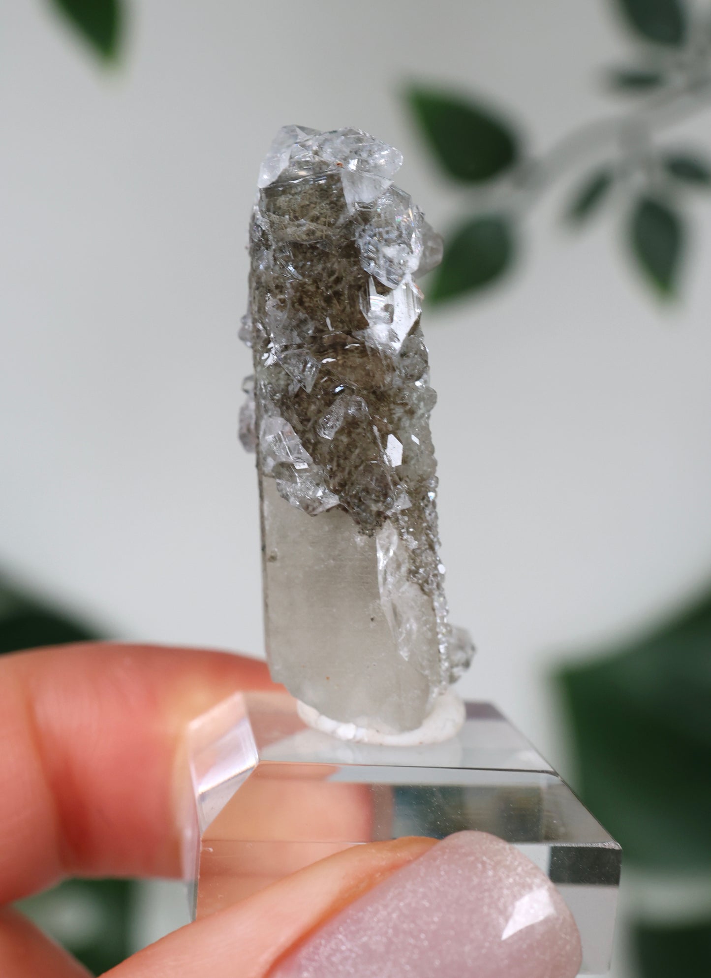 Apophyllite x Quartz x Chlorite No.42Q1