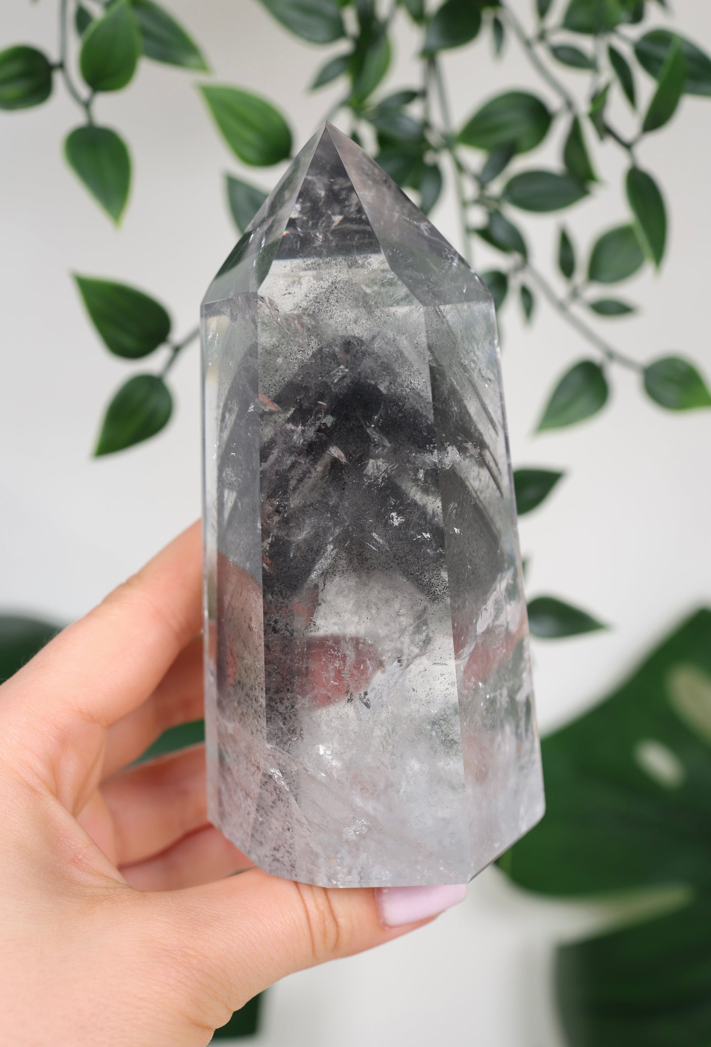 Black Phantom Lemurian Nr.555BL