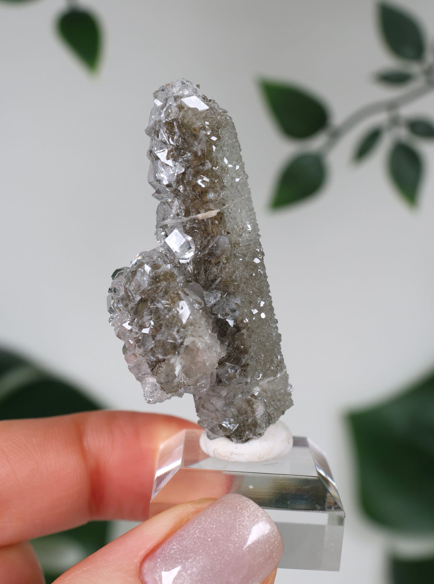 Apophyllite x Quartz x Chlorite No.66Q1
