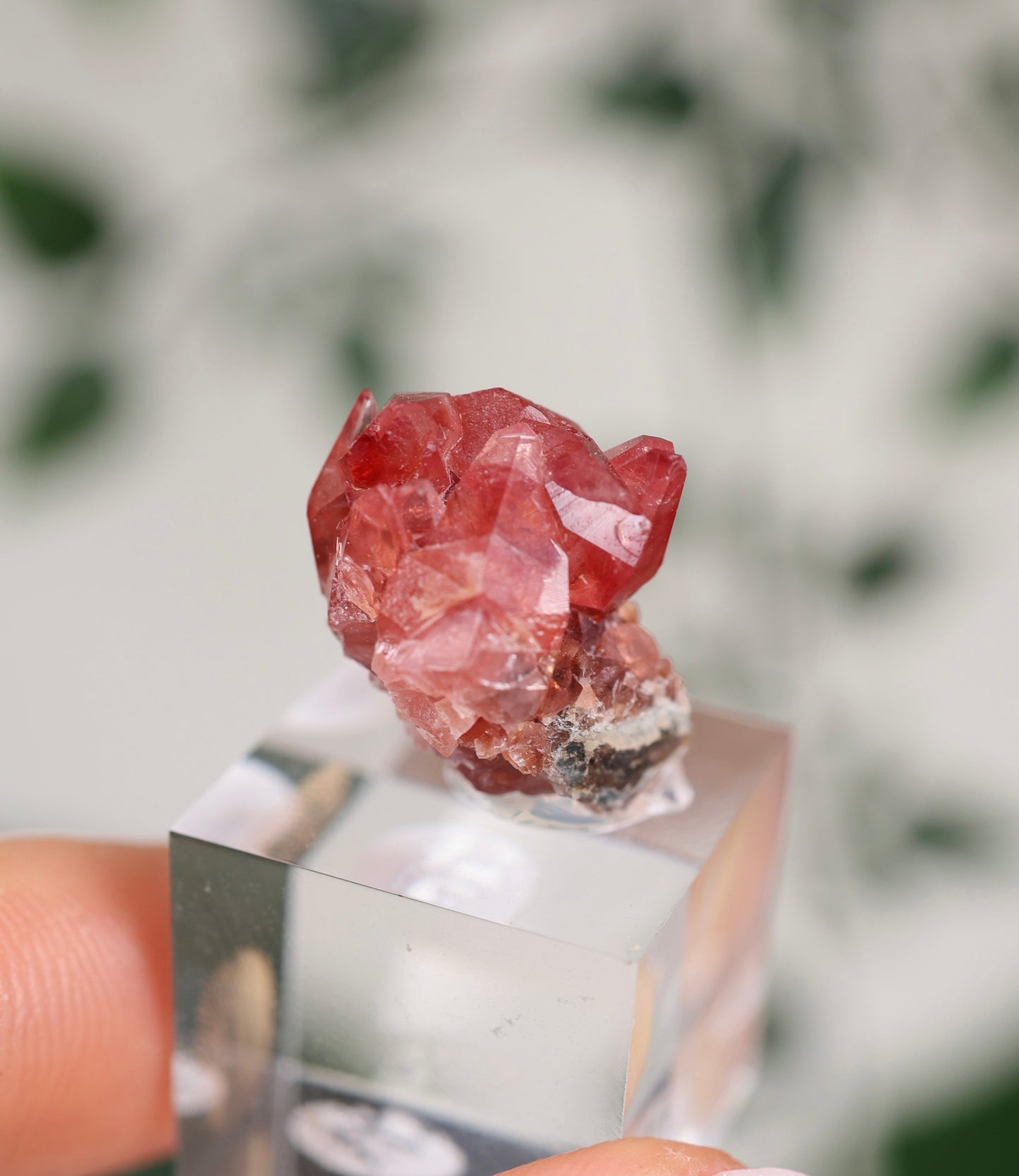 Kristallisierter Rhodochrosit Oldstock Nr.296RH