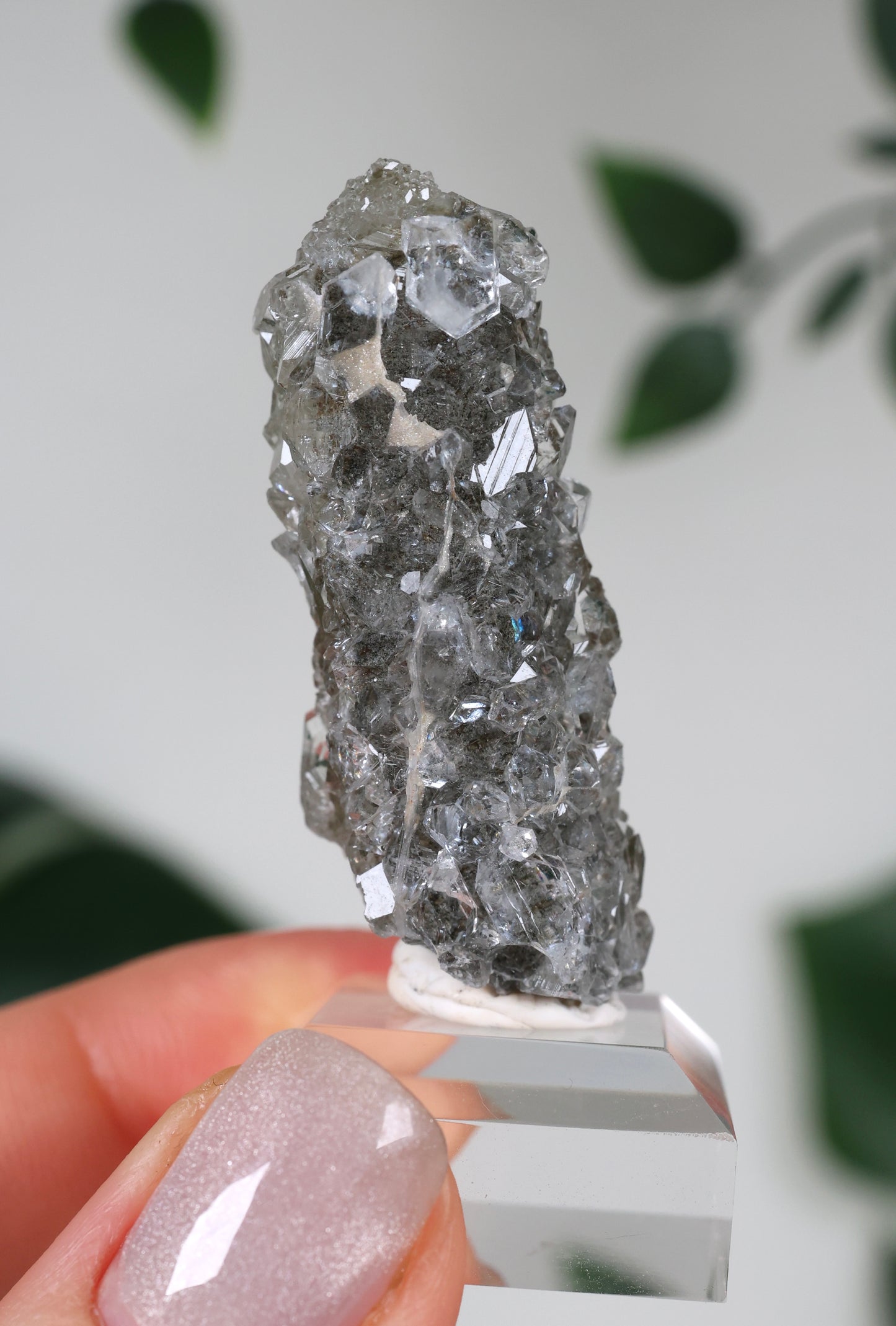 Apophyllite x Quartz x Chlorite No.62Q1