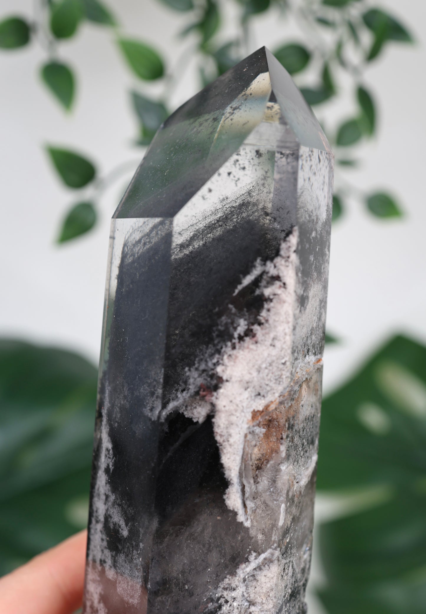 Black Phantom Lemurian Semi-Polished XL Nr.965BL