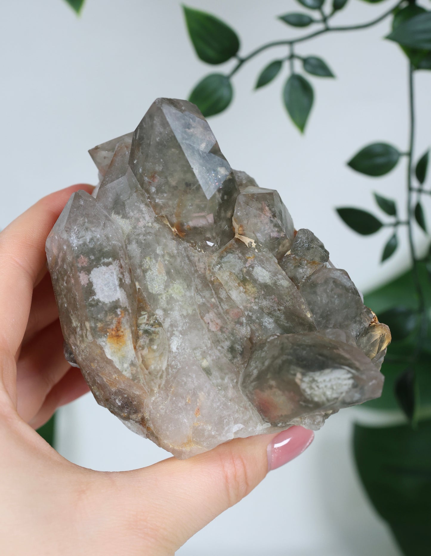 Garden Quartz x Rutilated Quartz Cluster No. 255GR