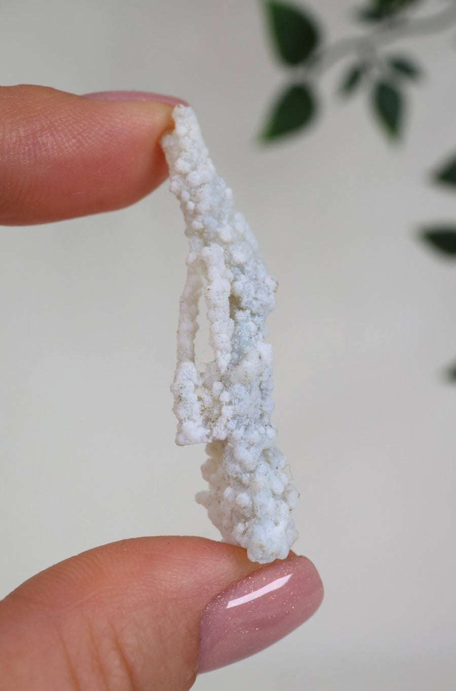 Calcedonia azul coral - Selección