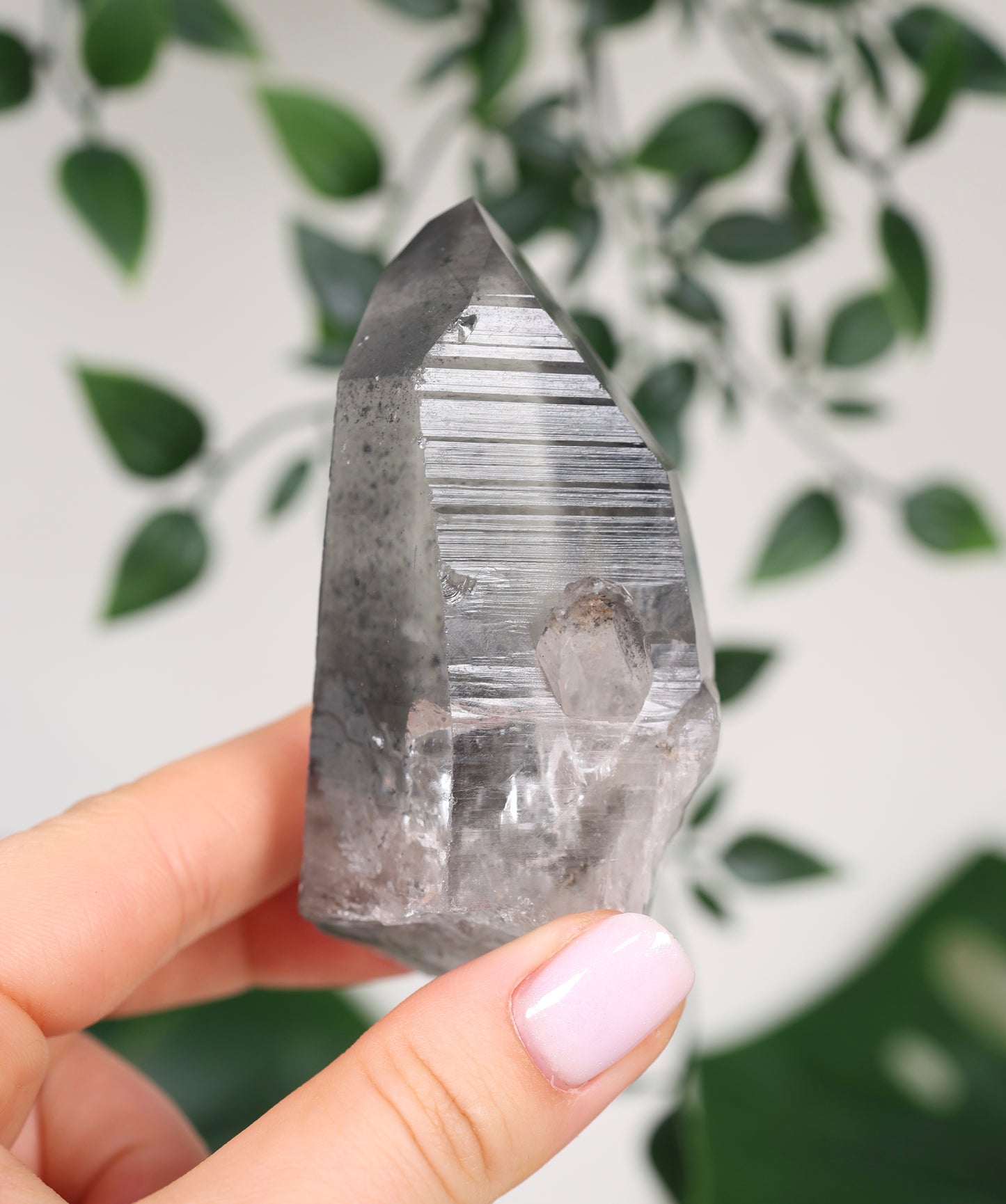 Black Phantom Lemurian Semi-Polished Nr.109BL