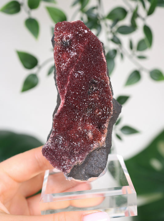 Kristallisierter Rhodochrosit Oldstock Nr.434RH