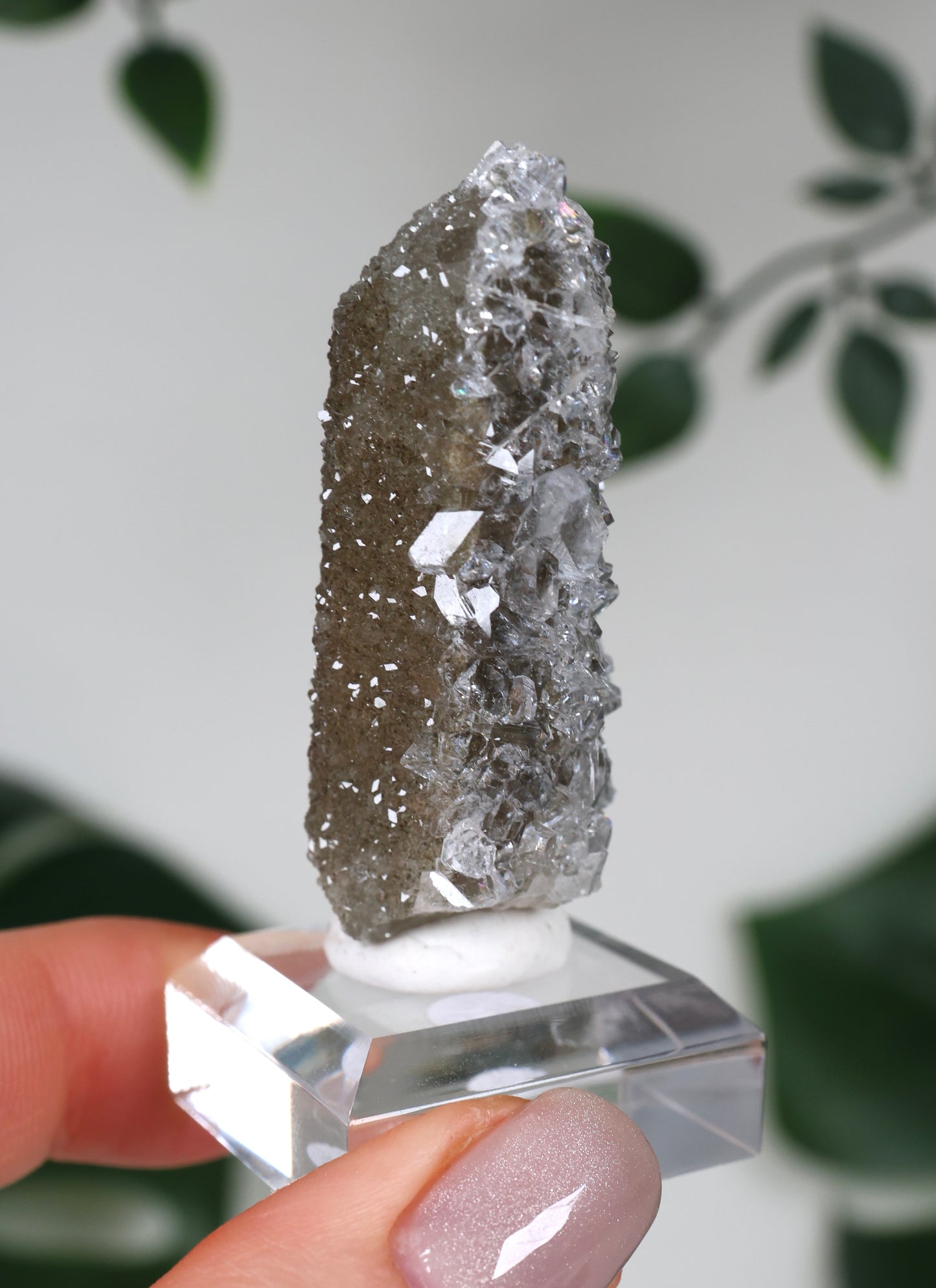 Apophyllite x Quartz x Chlorite No. 104QA