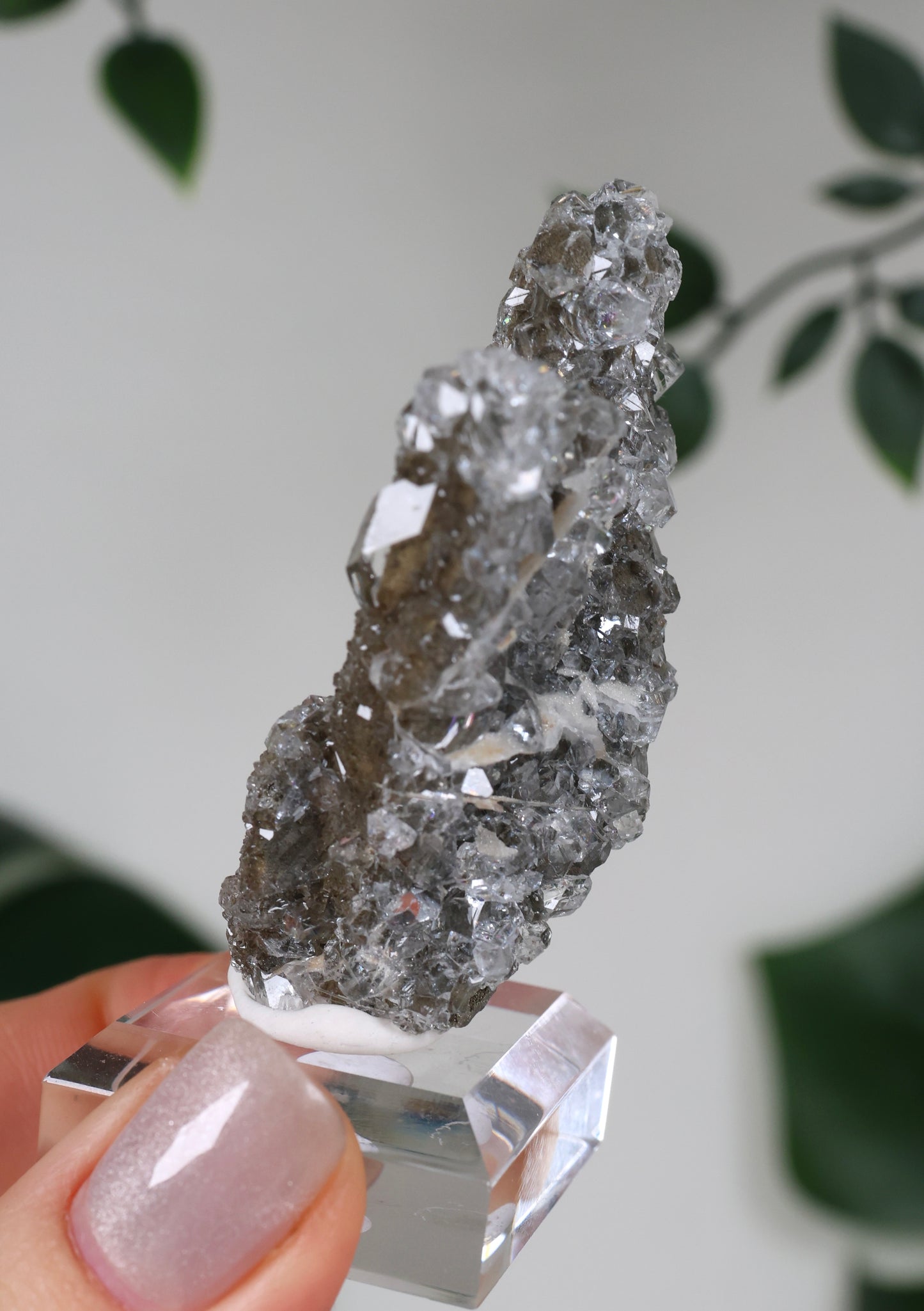 Apophyllite x Quartz x Chlorite No. 111Q1