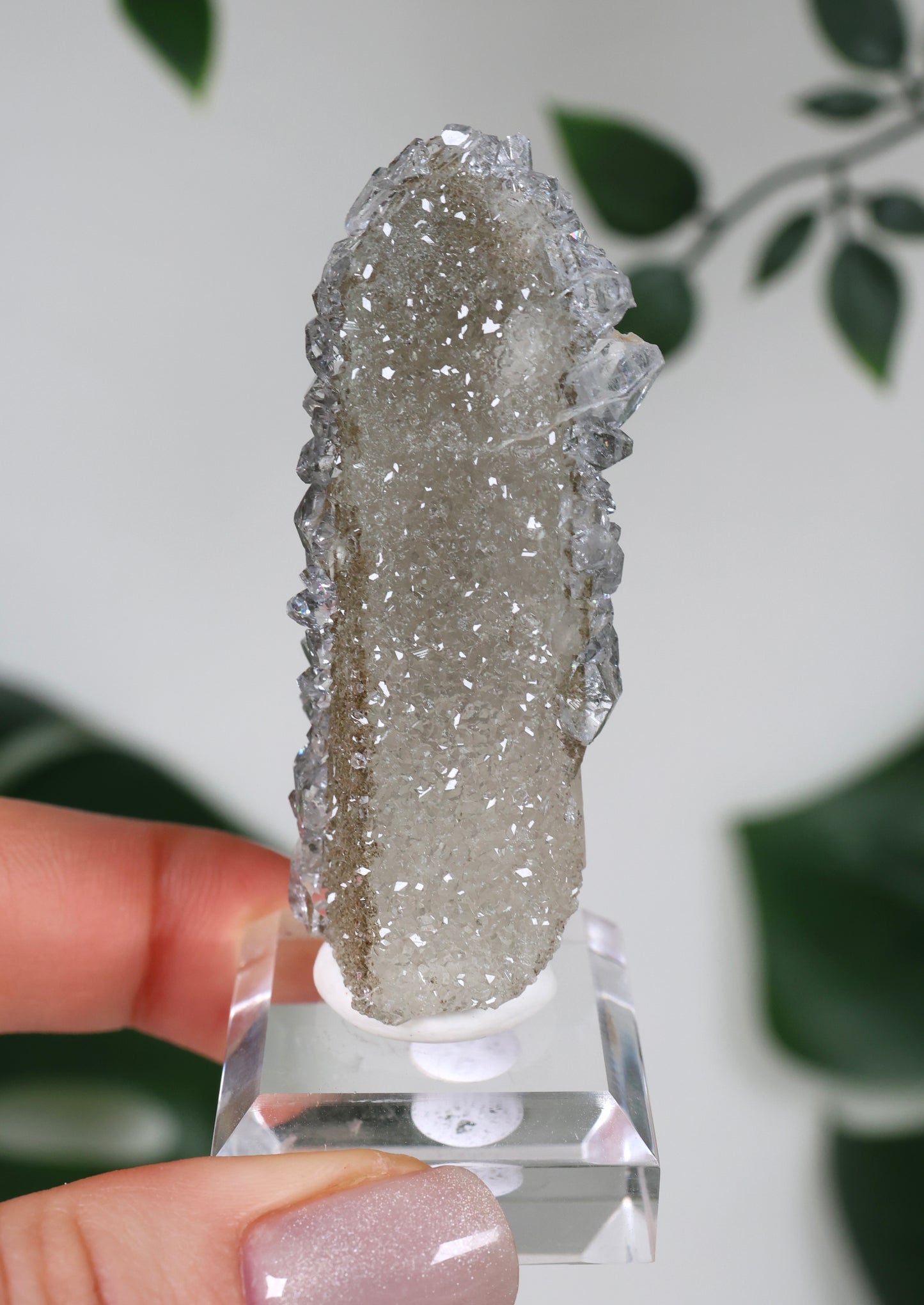 Apophyllite x Quartz x Chlorite No. 118QA