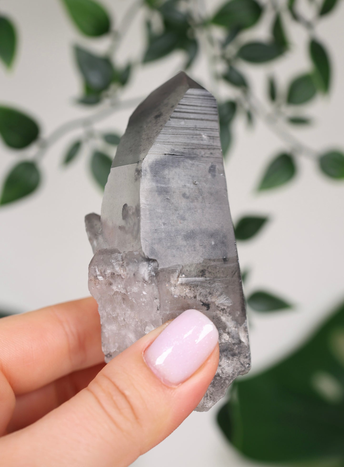 Black Phantom Lemurian Semi-Polished Nr.109BL