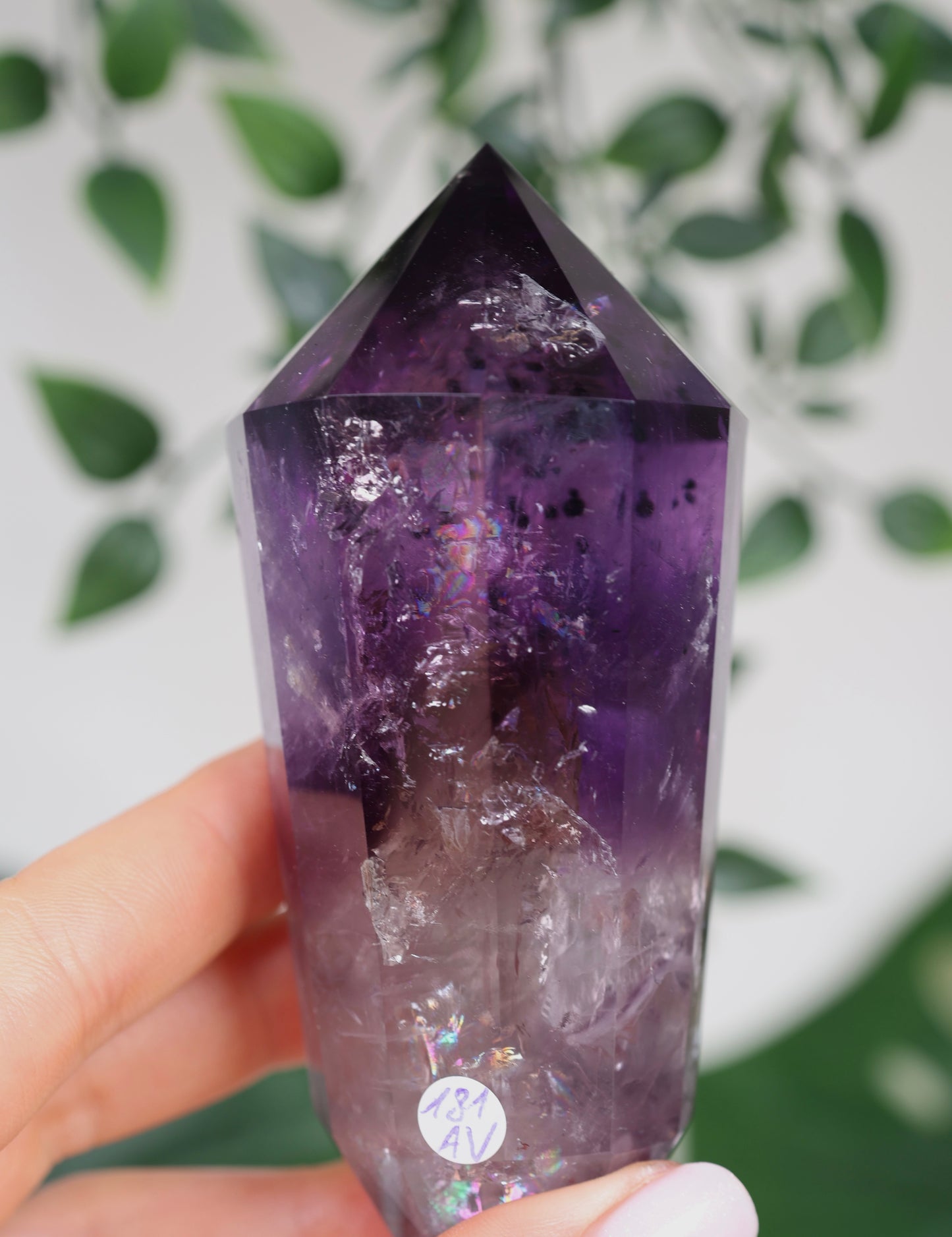 Amethyst Phantom Quarz mit Hollandit ‚Vogel‘ Schliff Nr.181AV