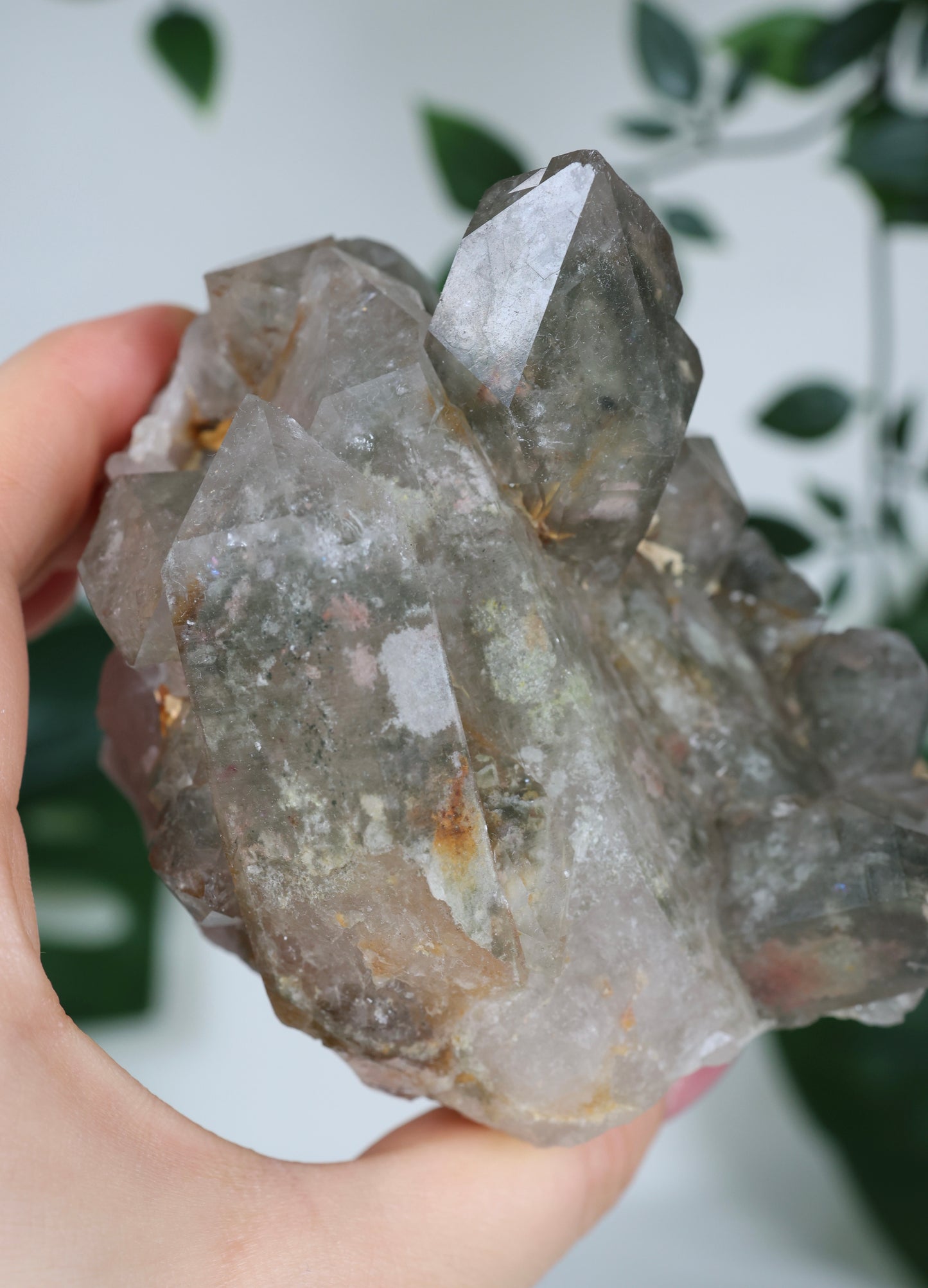 Garden Quartz x Rutilated Quartz Cluster No. 255GR
