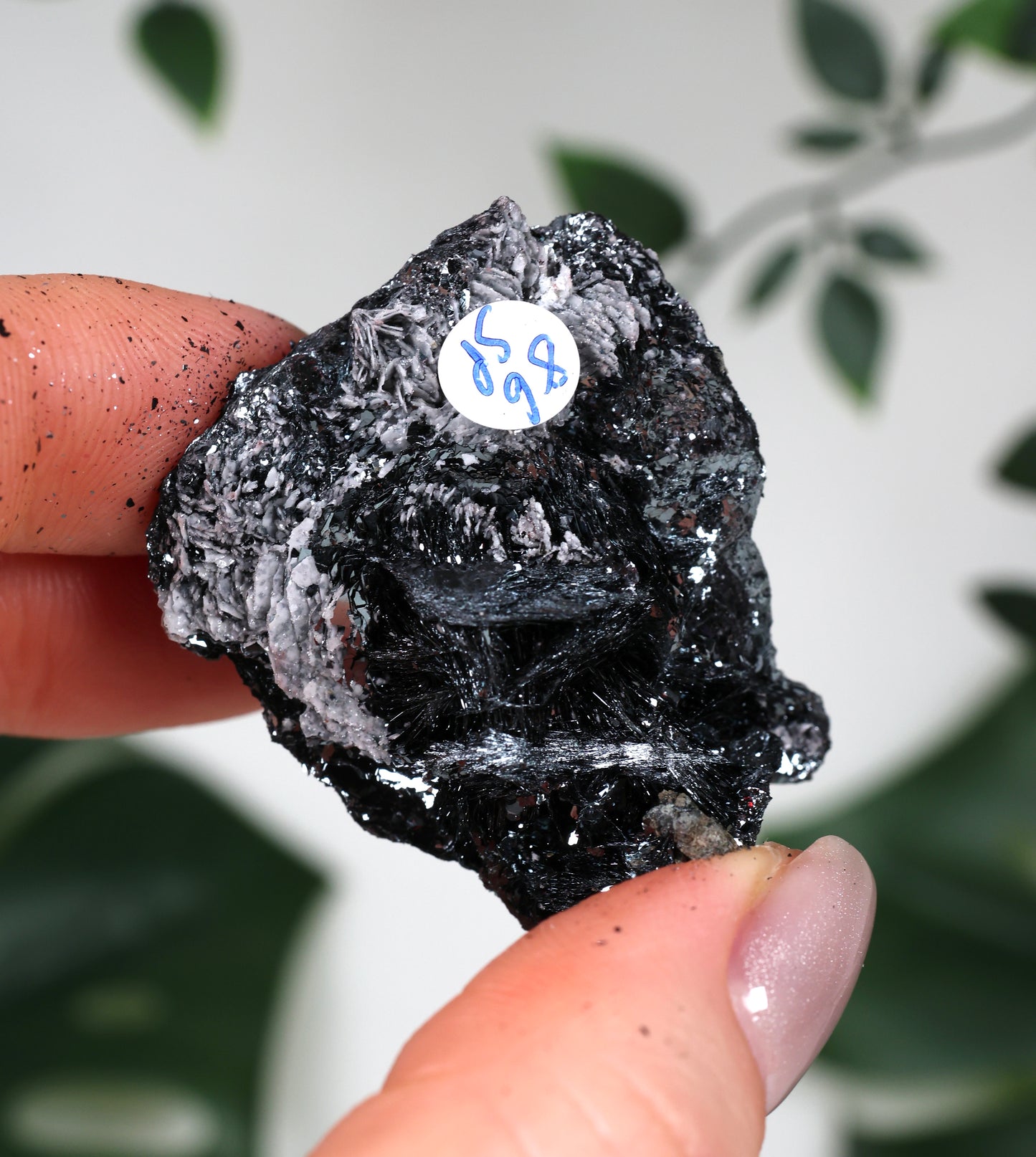 Specularite No. 86SP