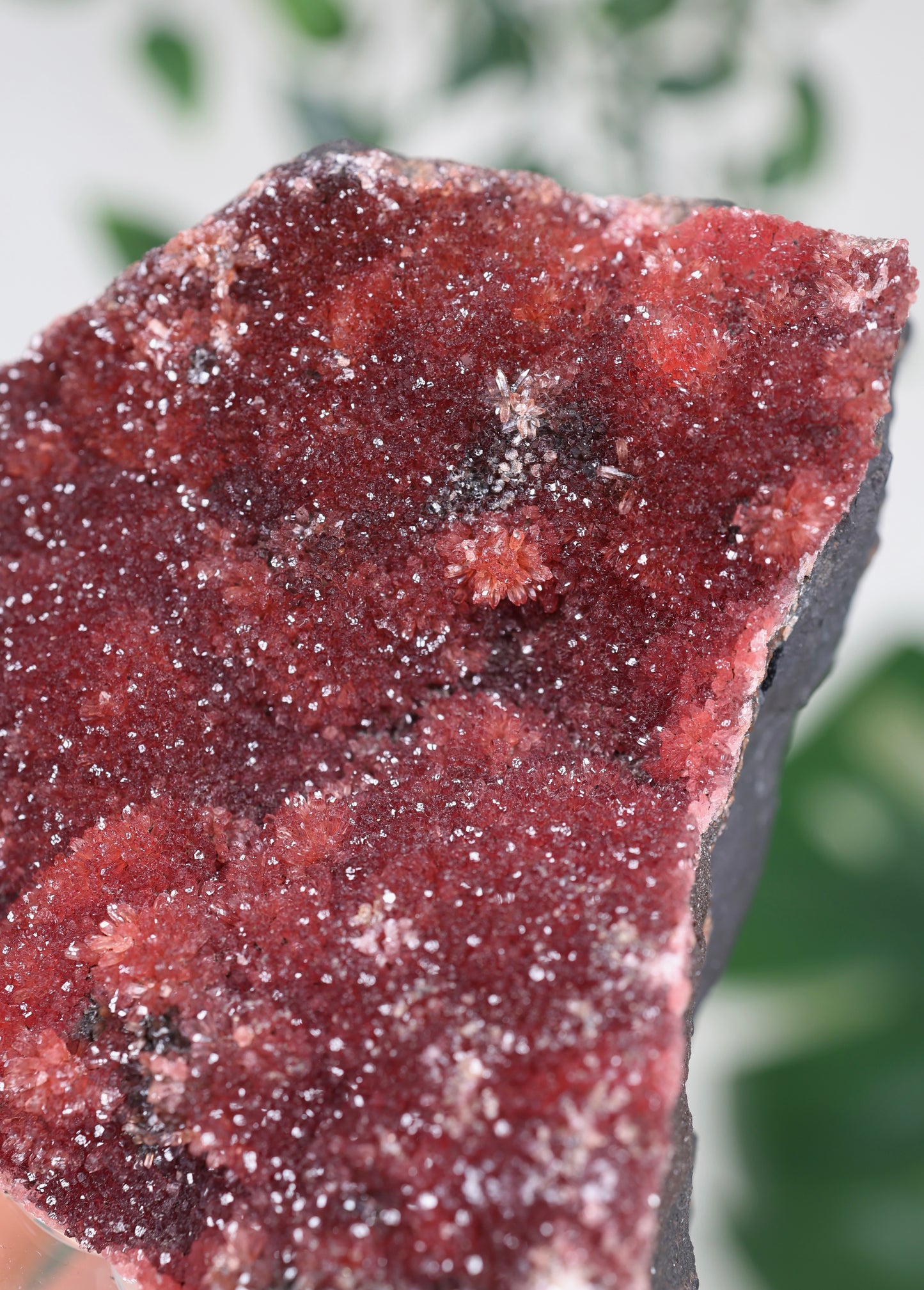 Kristallisierter Rhodochrosit Oldstock Nr.707RH