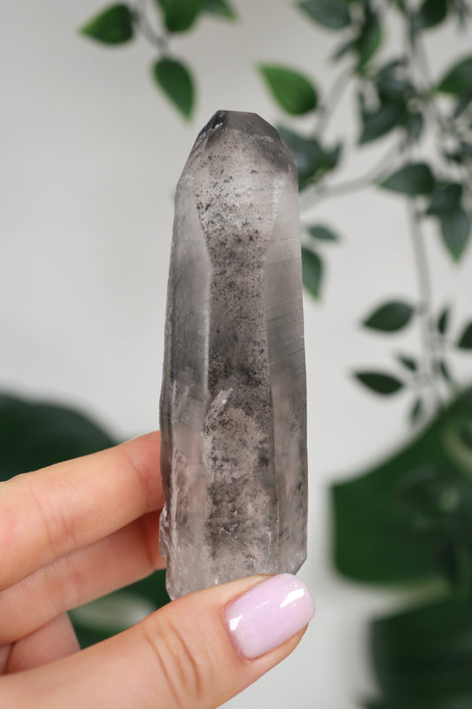 Black Phantom Lemurian Semi-Polished Nr.82BL