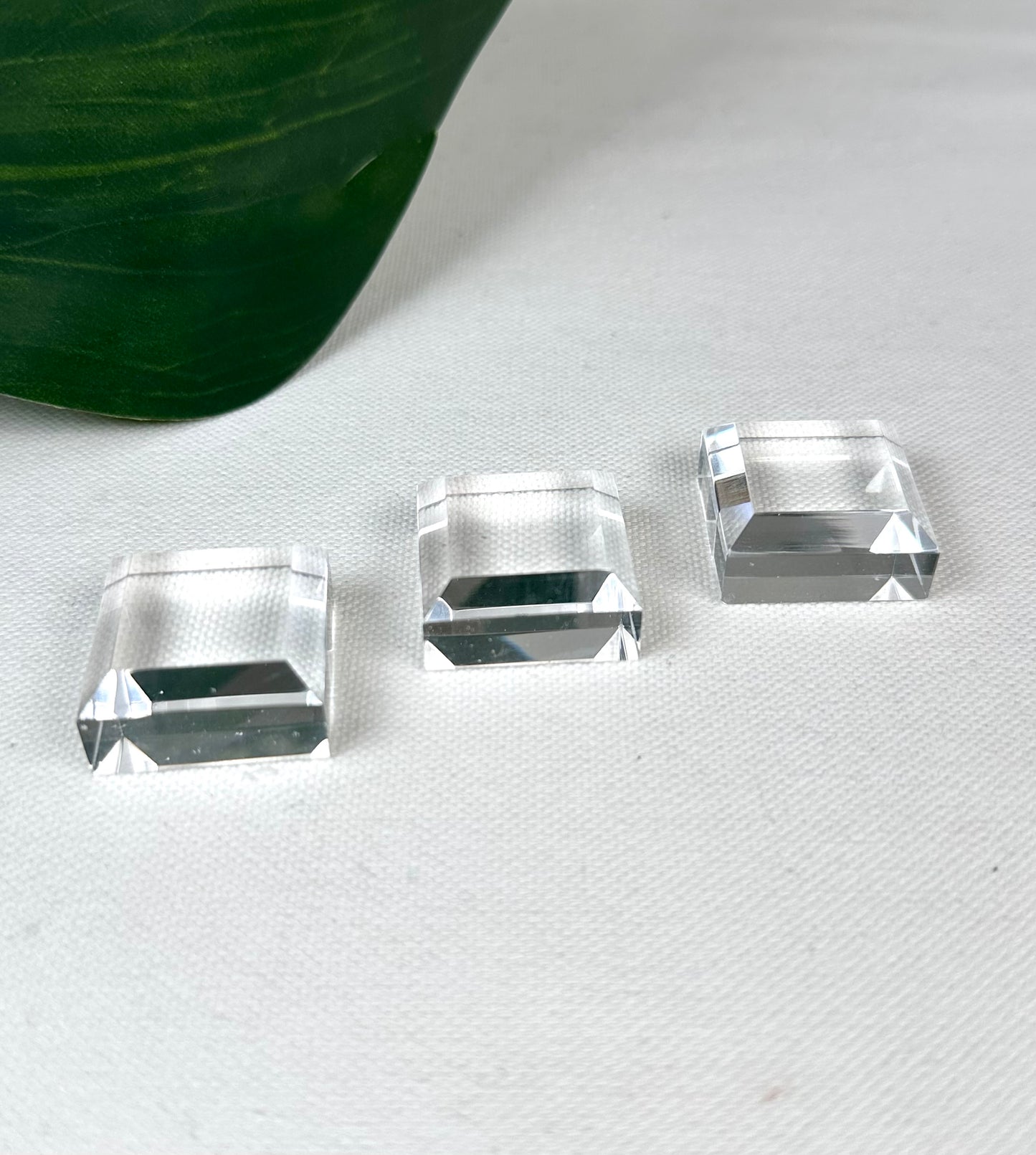 Acrylic plate for Specimen XS