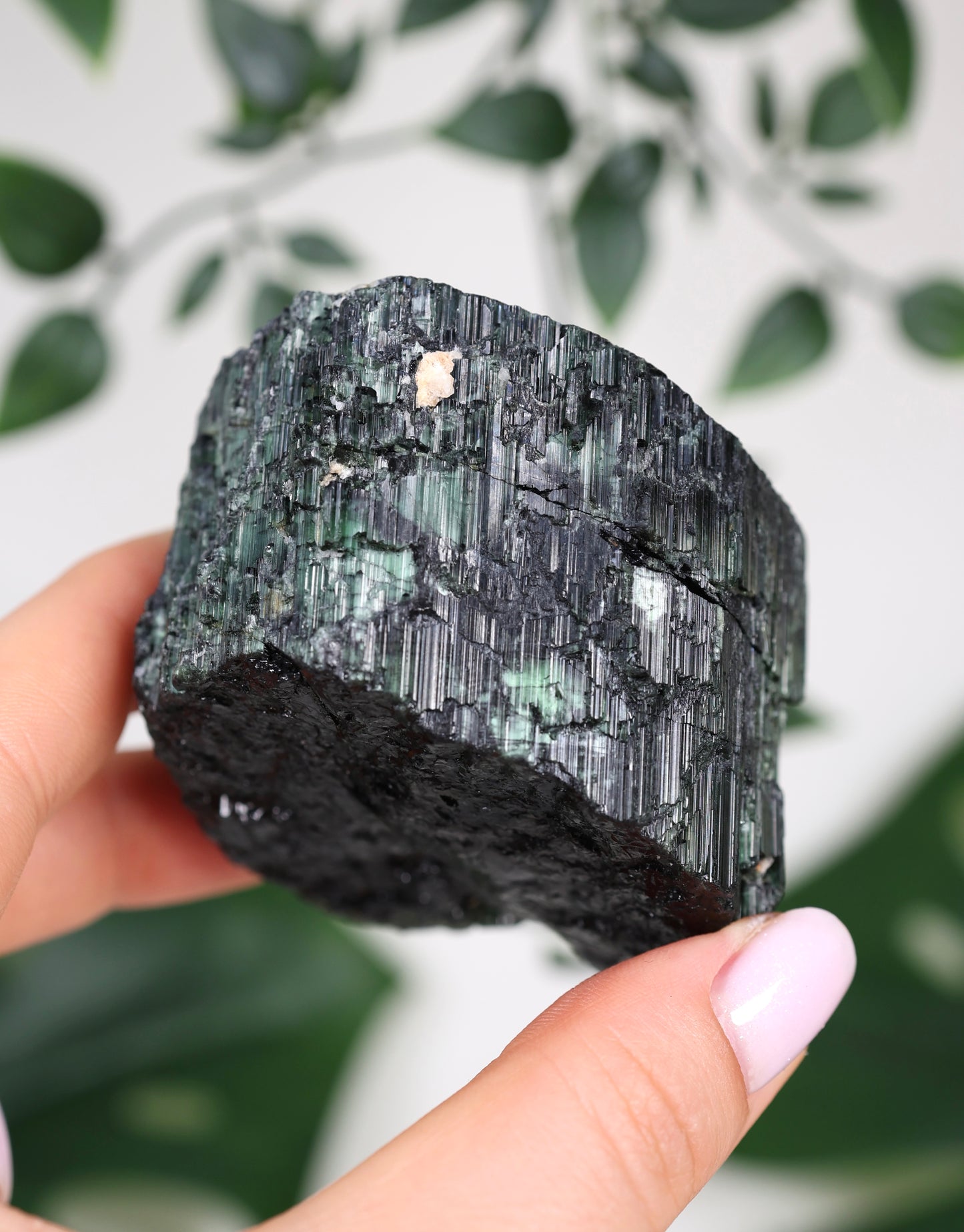 Cat Eye Turmalin Nr.92CT