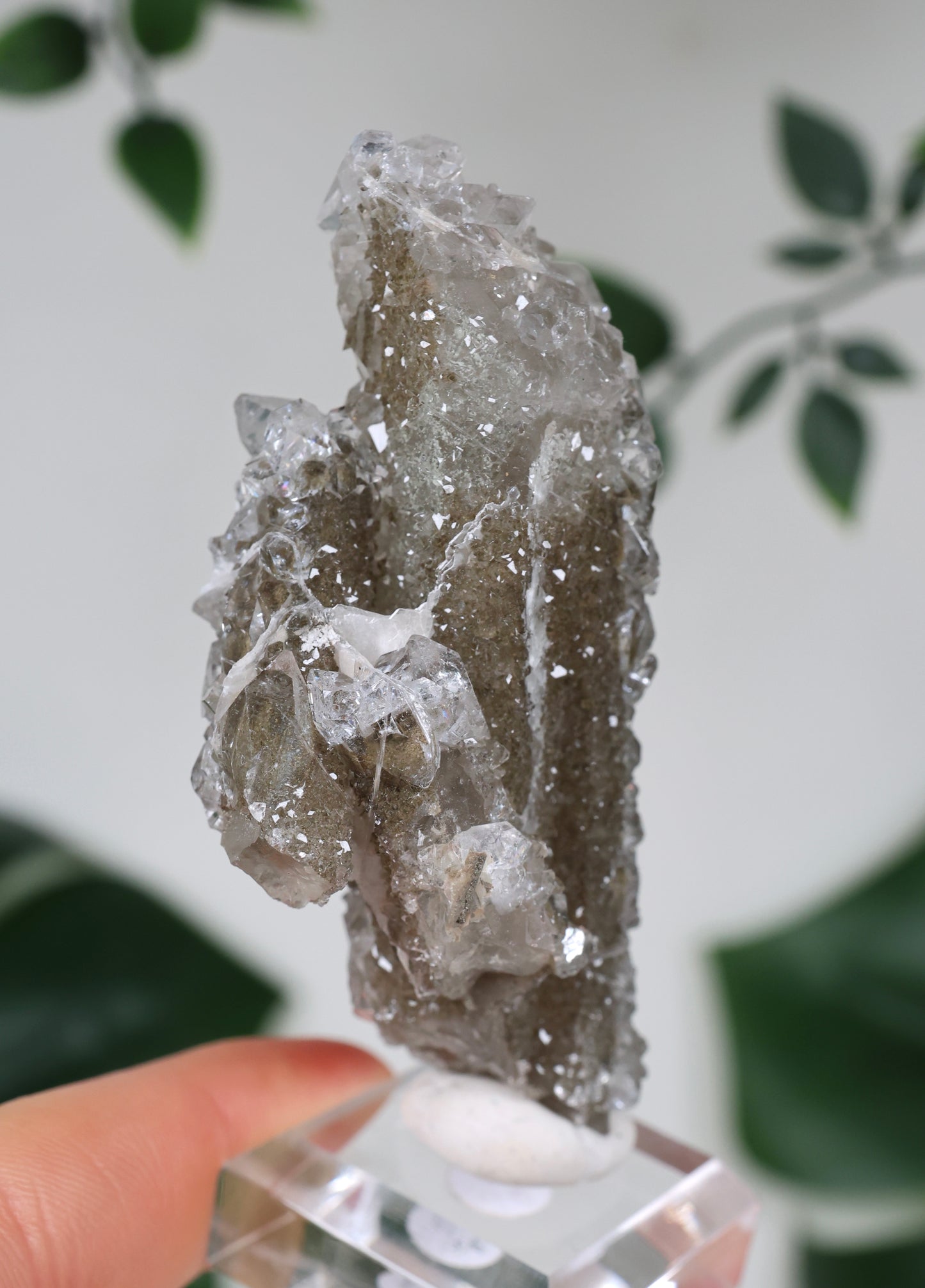 Apophyllite x Quartz x Chlorite No. 129QA