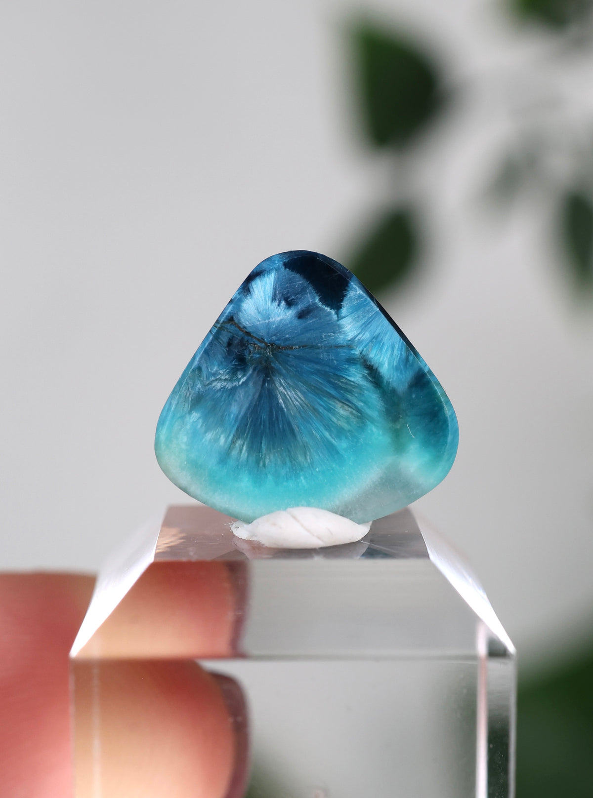 Tantara Shattuckit x Dioptas Oldstock Cabochon Nr.99ST