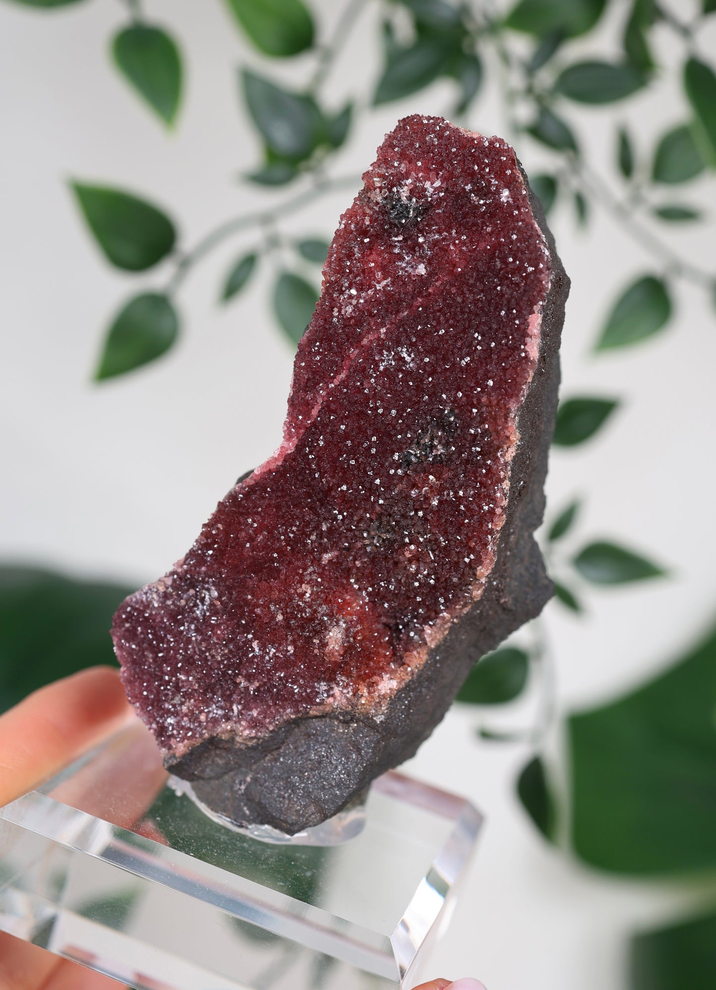Kristallisierter Rhodochrosit Oldstock Nr.434RH