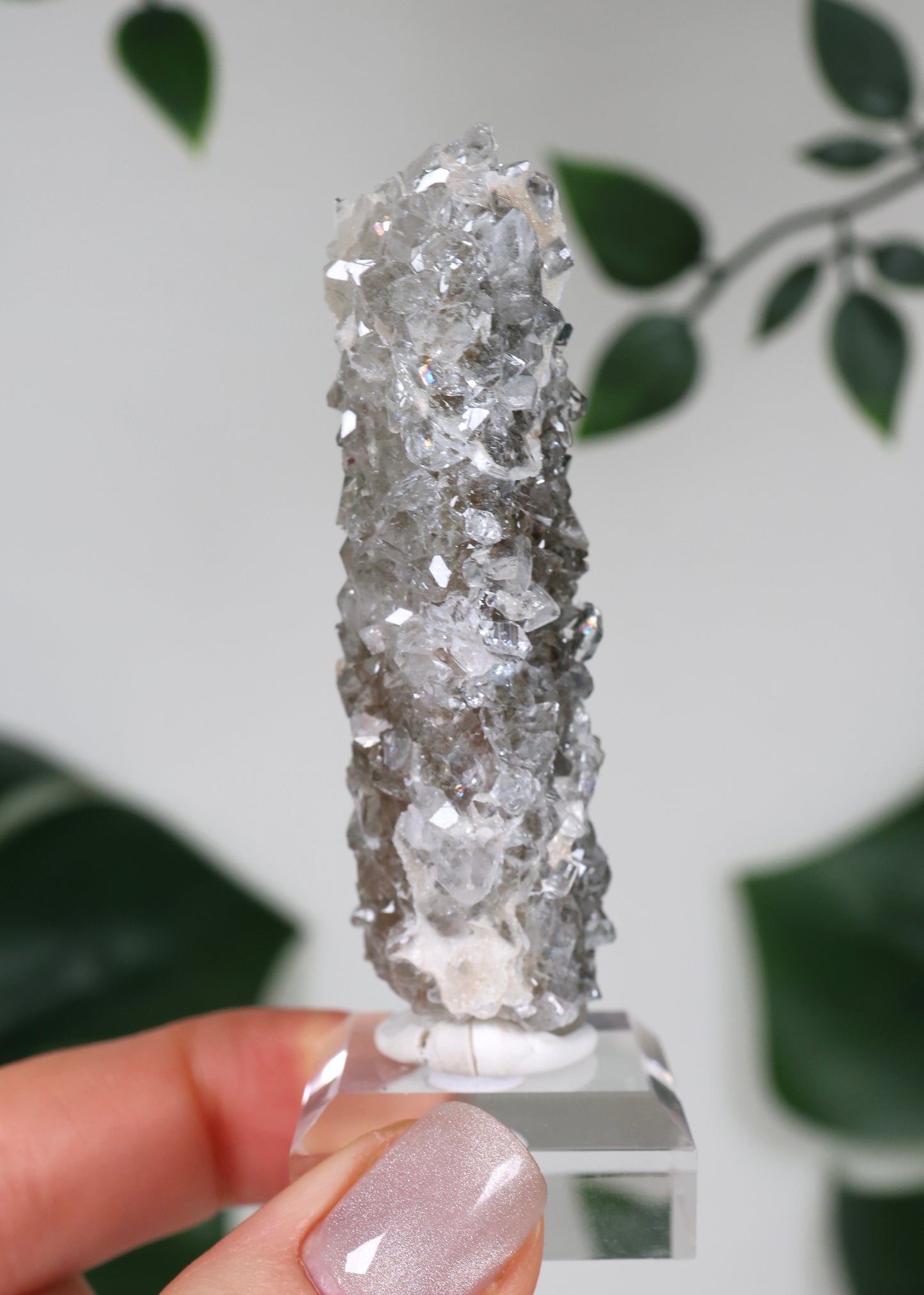 Apophyllite x Quartz x Chlorite No.110QA