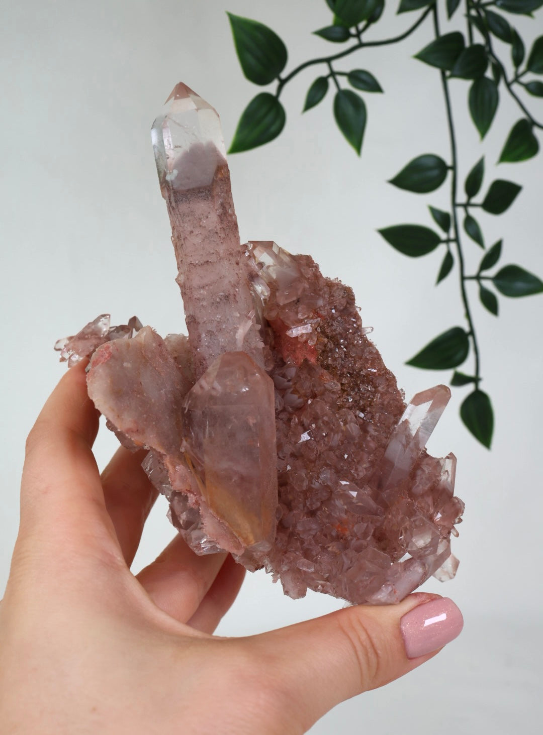 Sunset Quartz No. 500SQ