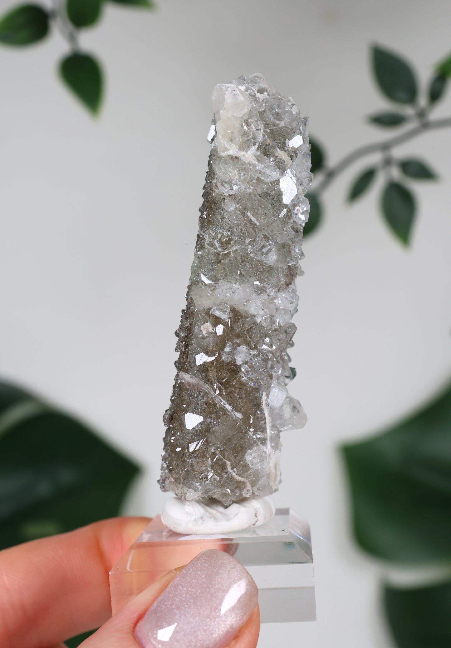 Apophyllite x Quartz x Chlorite No.110QA