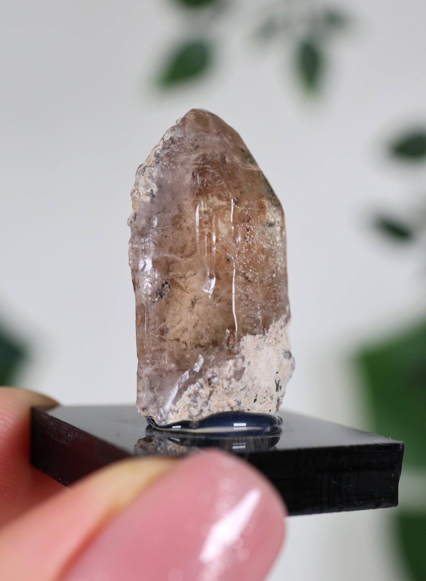 Topaz No. 26TP