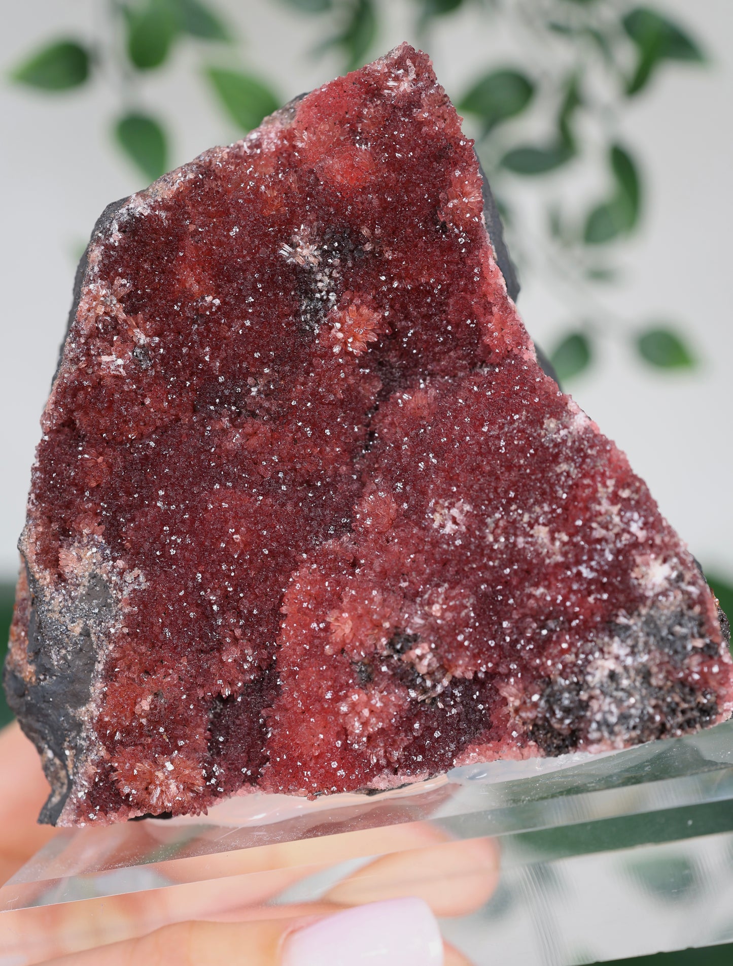 Kristallisierter Rhodochrosit Oldstock Nr.707RH
