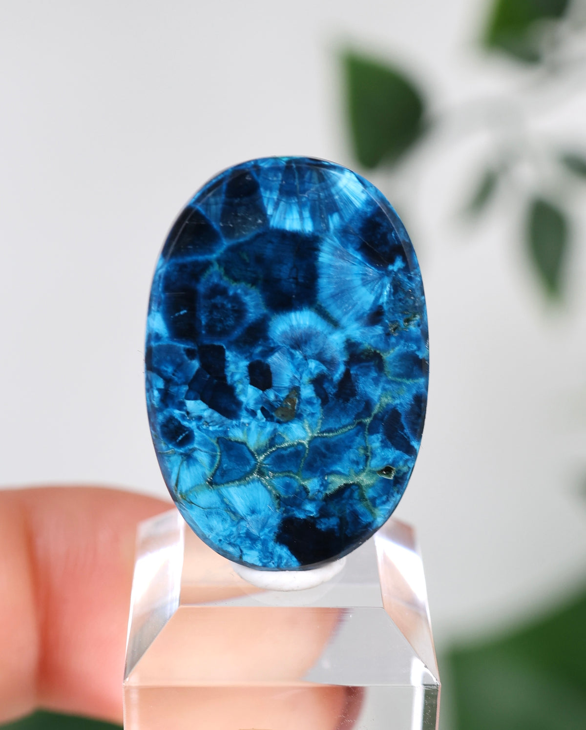 Tantara Shattuckit x Dioptas Oldstock Cabochon Nr.145ST