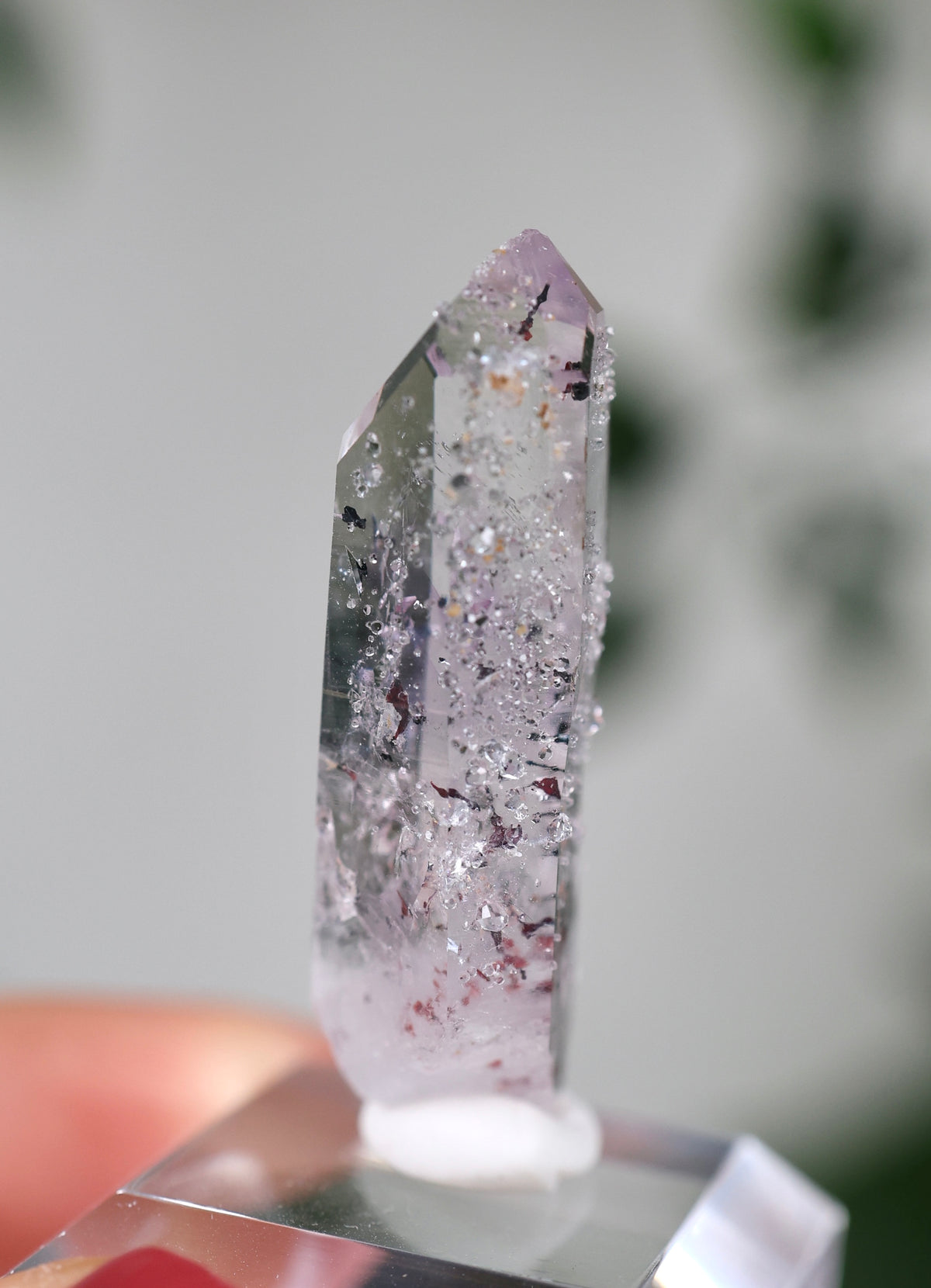 Goboboseb Quarz x Amethyst x Hämatit x Analcim Nr.138GQ