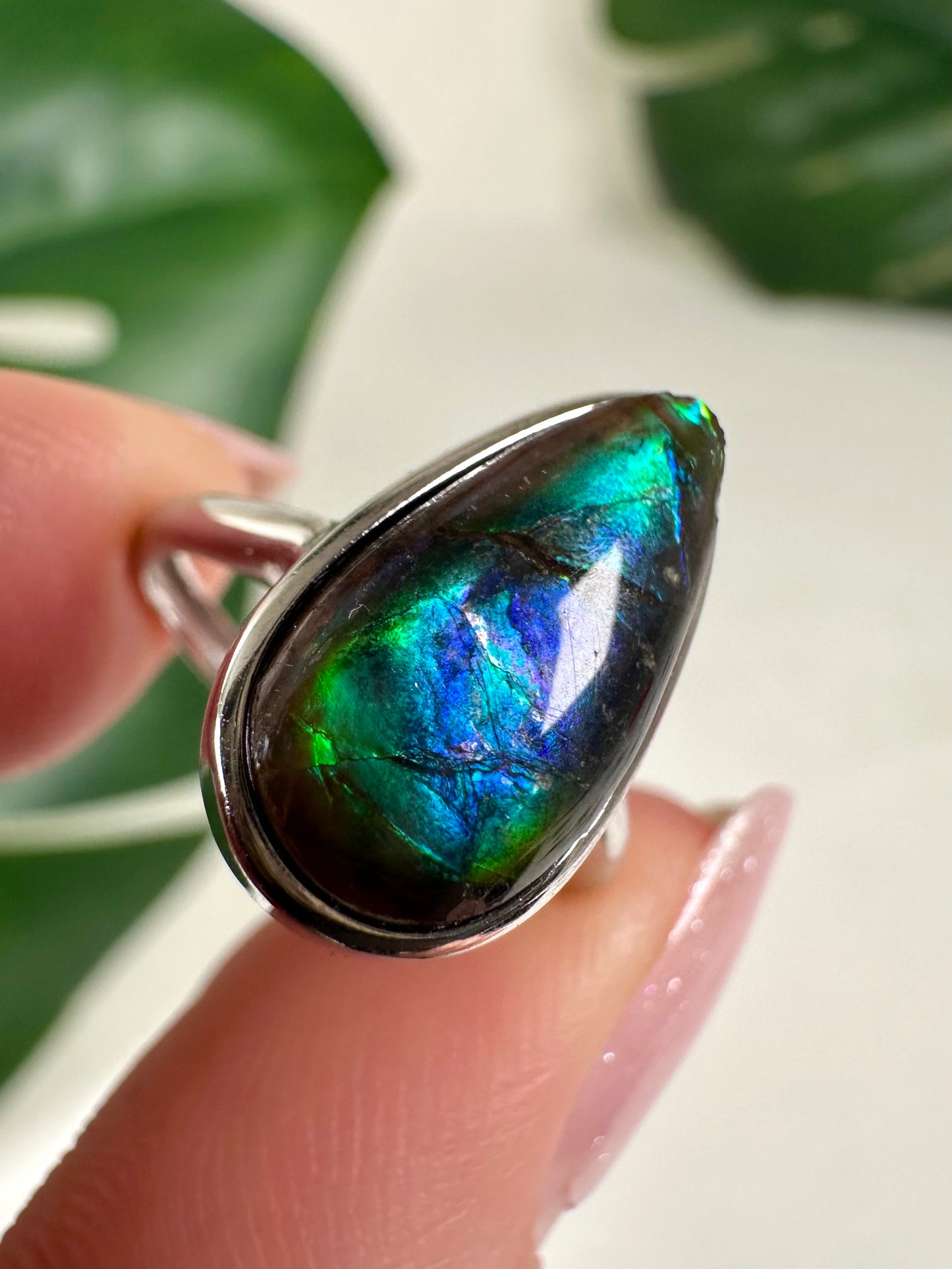 Ammolit Ring in 925 Silber Nr.110A2