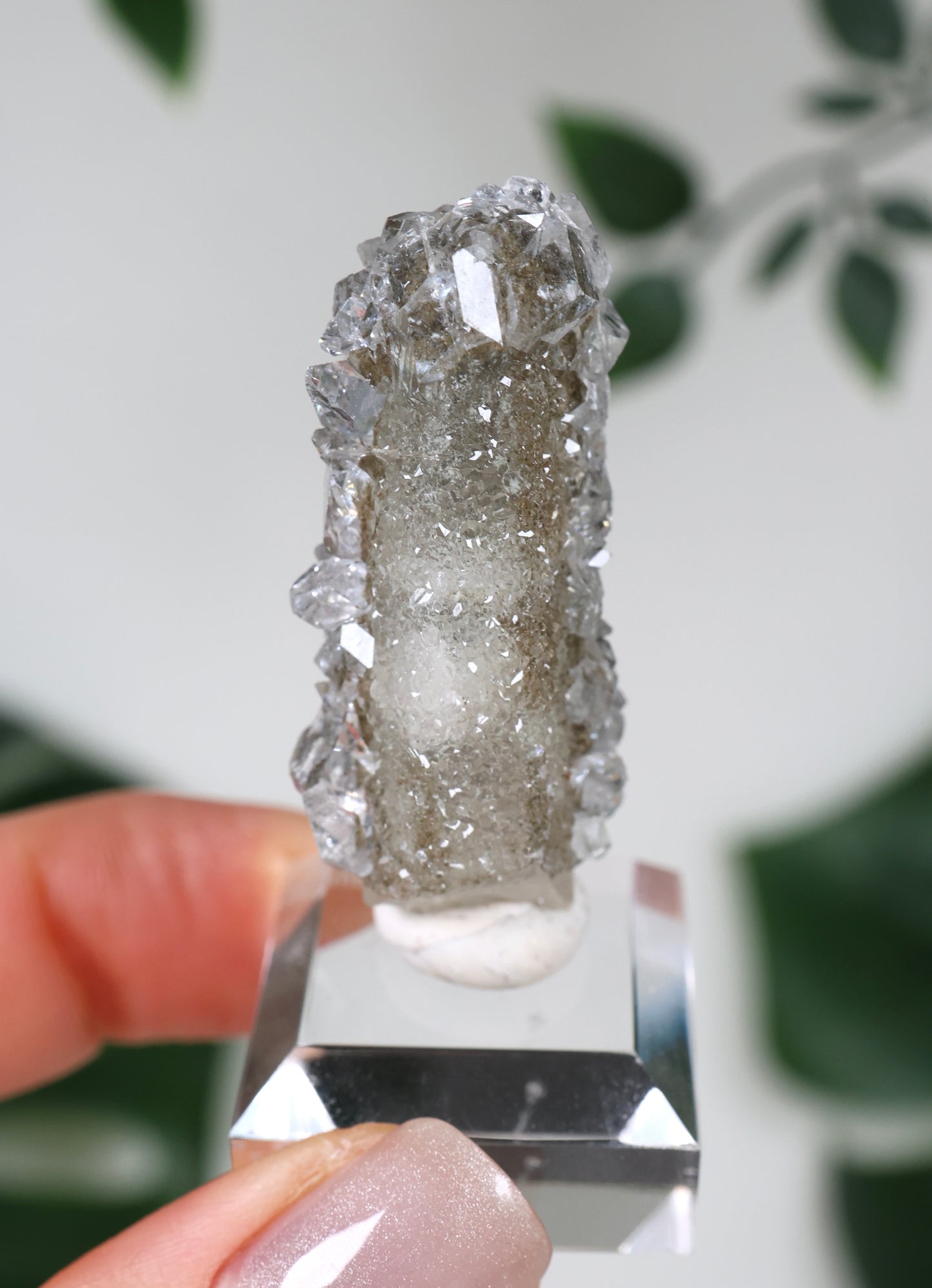 Apophyllite x Quartz x Chlorite No.57QA