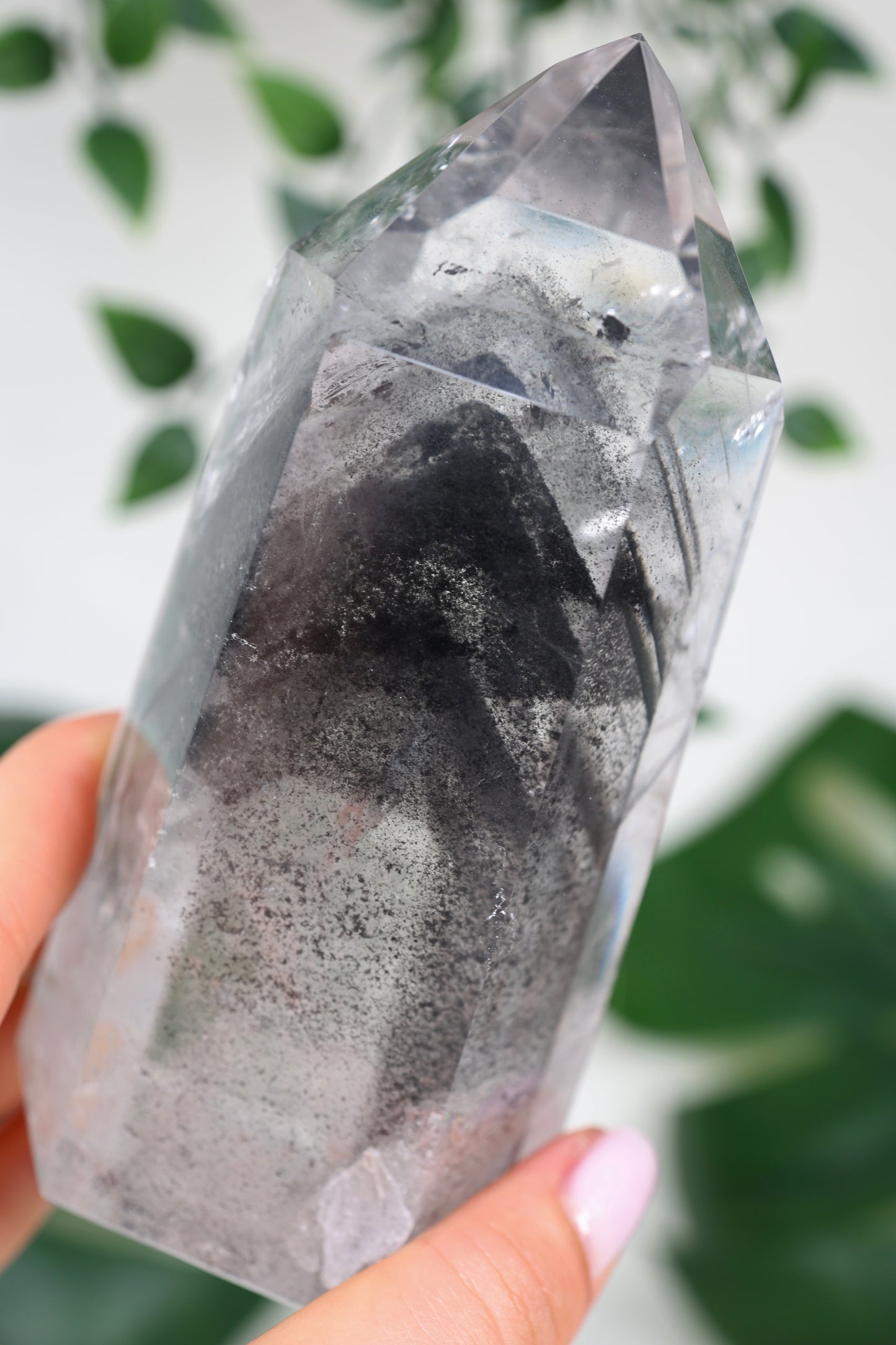 Black Phantom Lemurian Nr.555BL