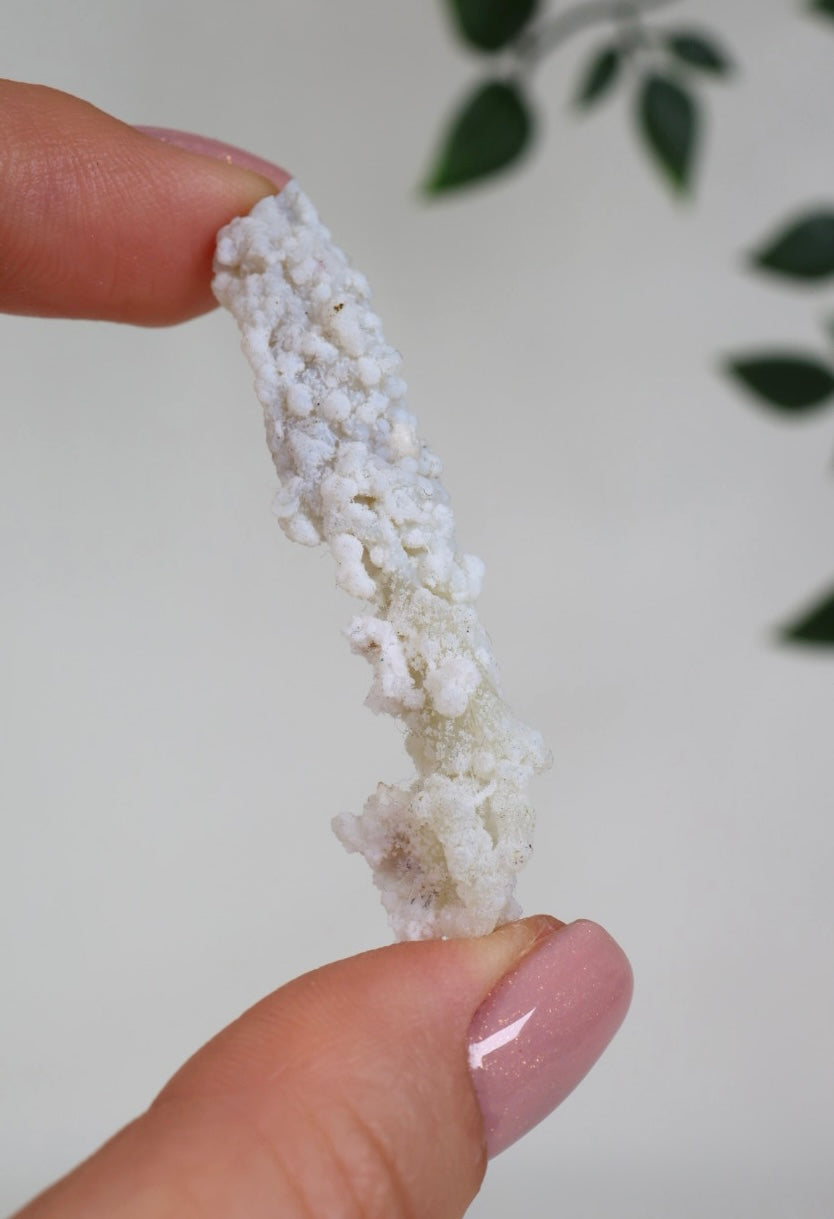 Calcedonia azul coral - Selección