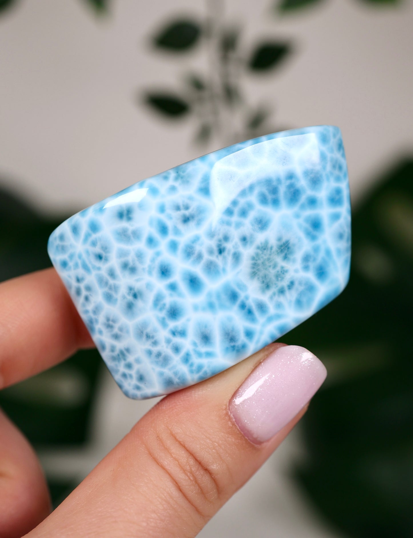 Larimar HQ Nr.700LA