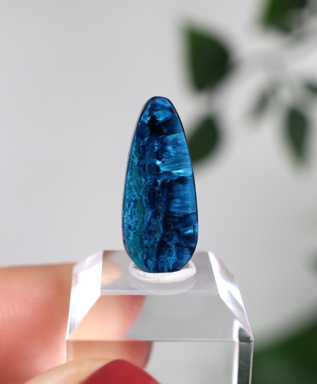 Tantara Shattuckit x Dioptas Oldstock Cabochon Nr.95ST