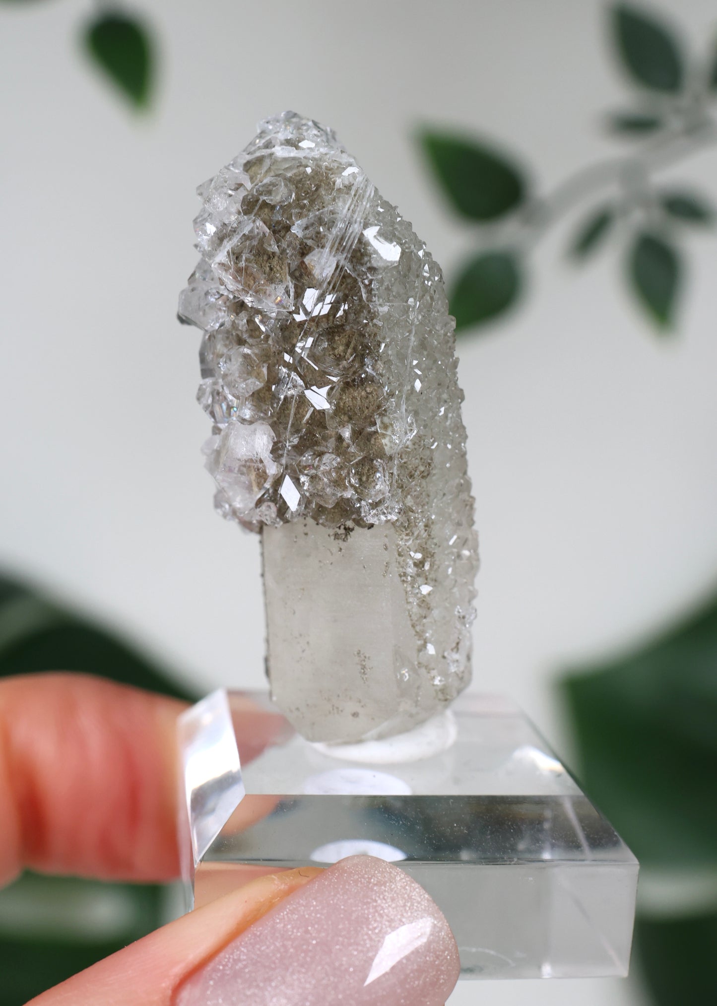 Apophyllite x Quartz x Chlorite No.67QA