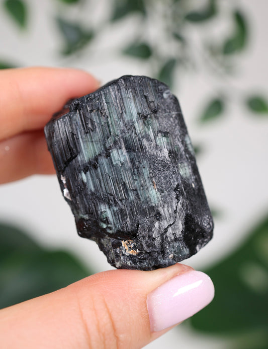Cat Eye Turmalin Nr.24CT