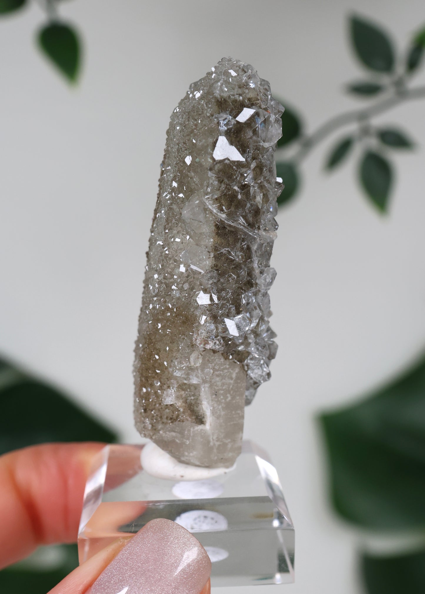 Apophyllite x Quartz x Chlorite No. 111Q3