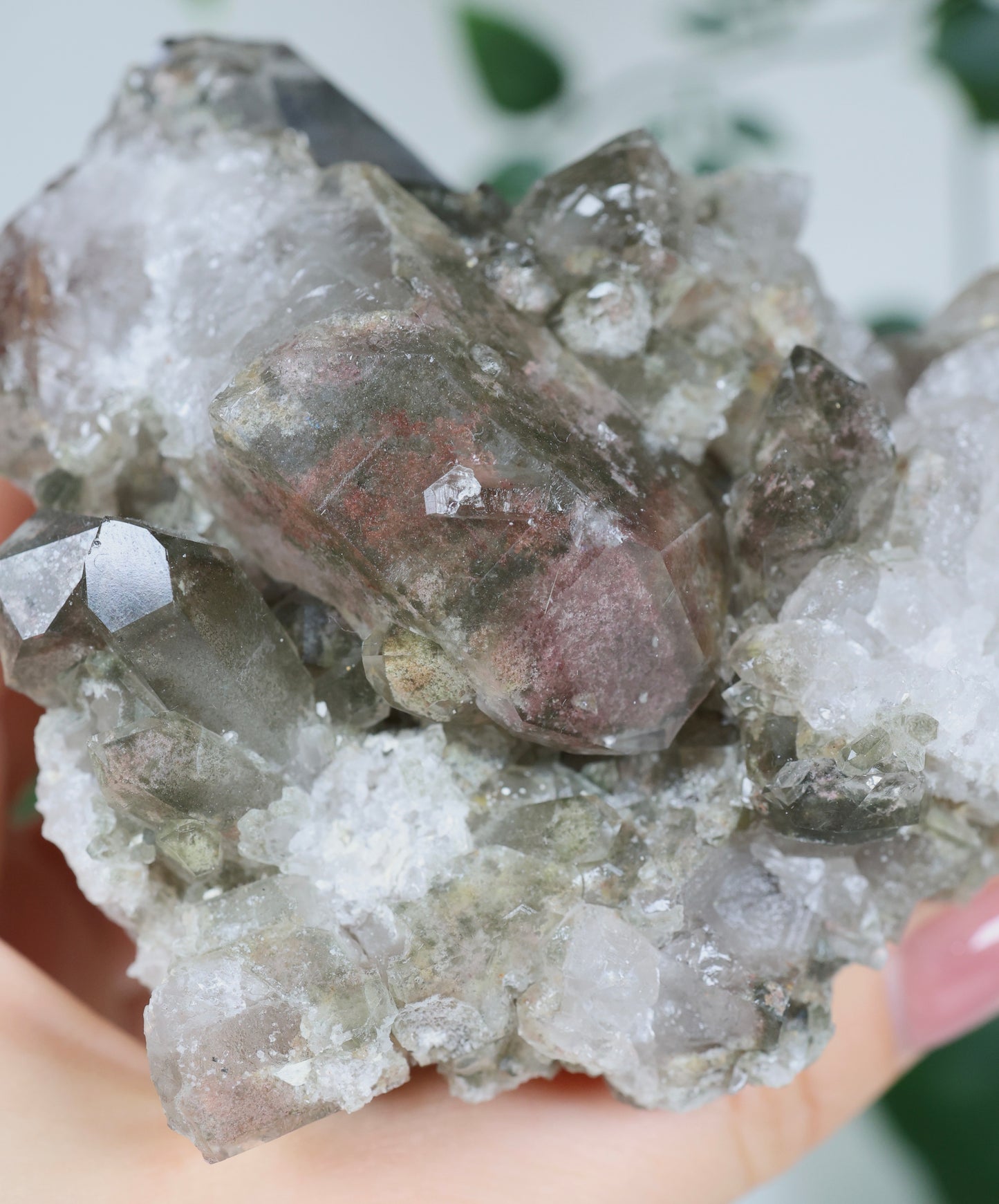 Garden Quartz x Rutile Cluster No. 99GR 