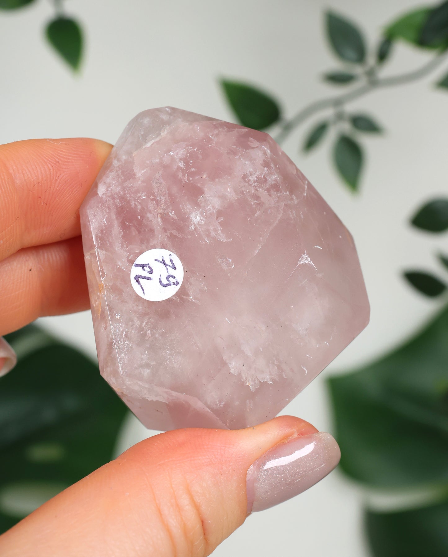 Pink Lithium Quartz No. 79PL